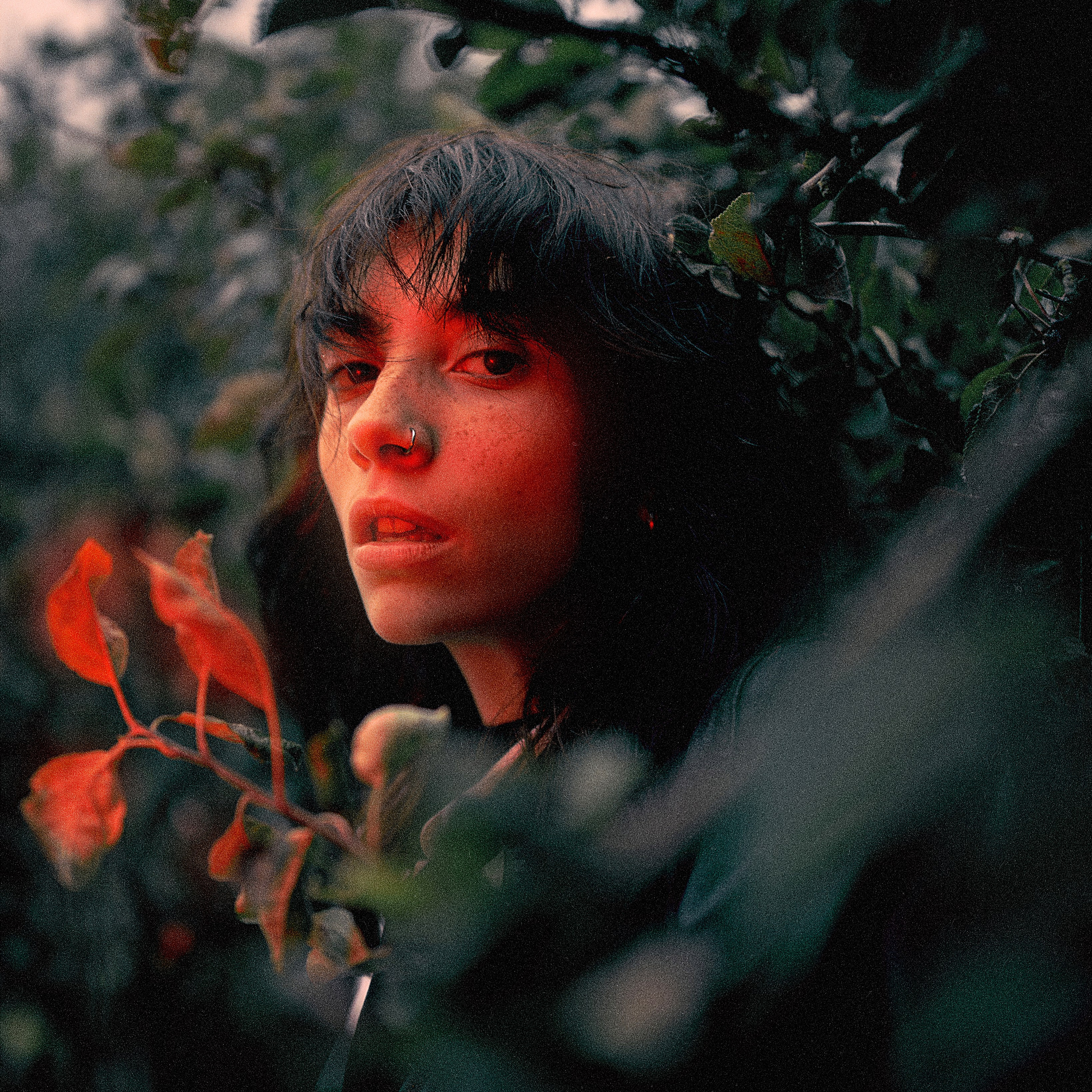 Дина в яблонях