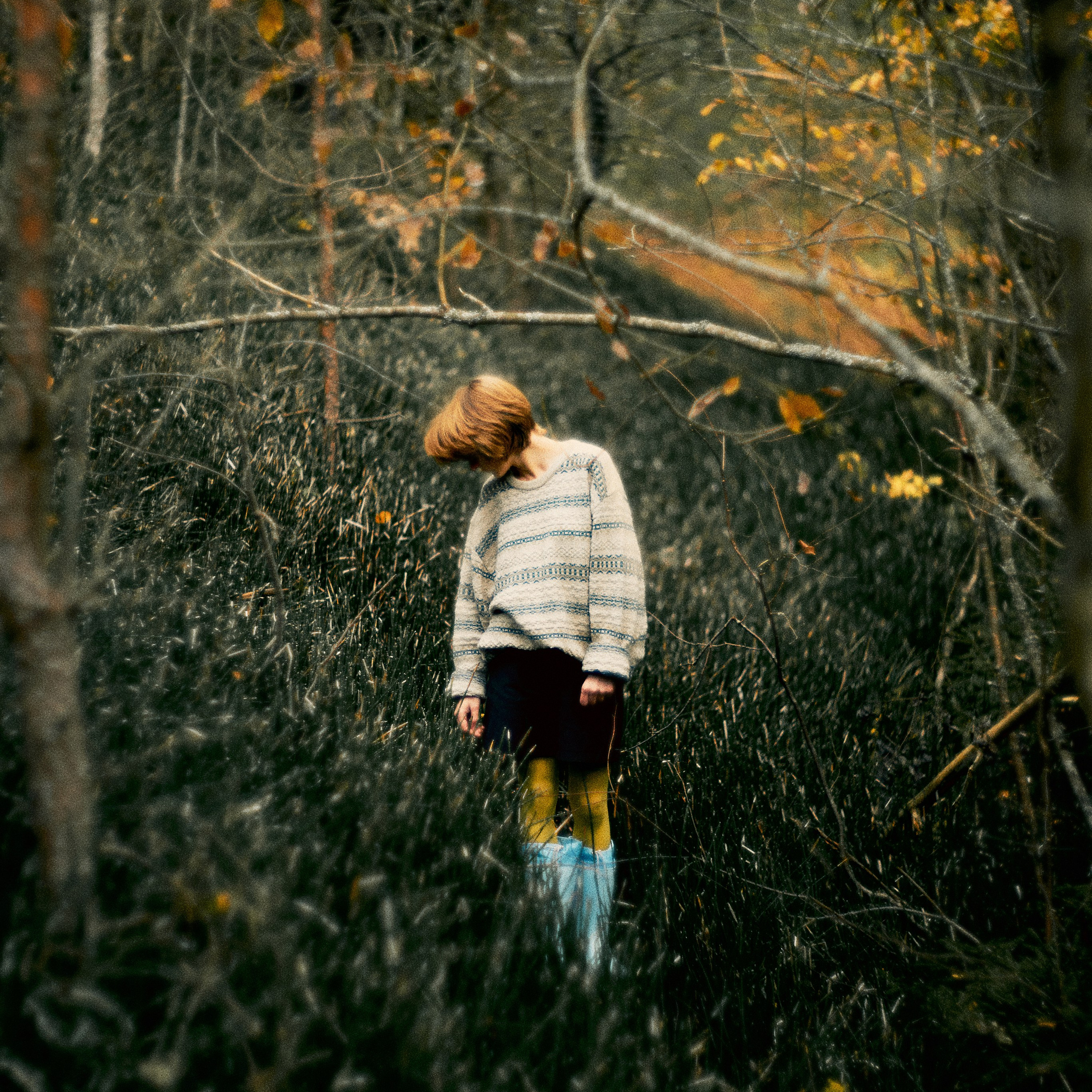 Красота в Прудиках