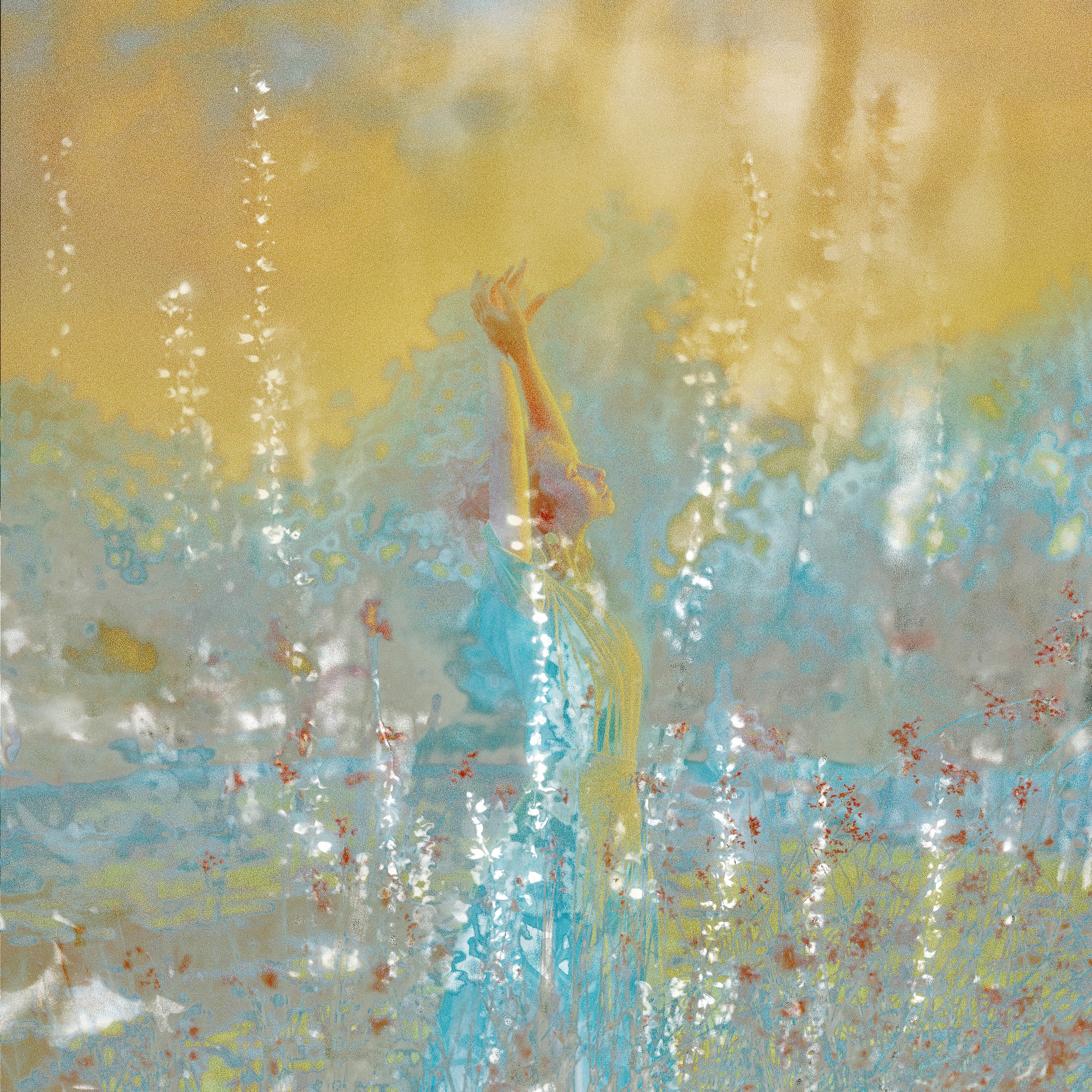 Нежный Вроцлав