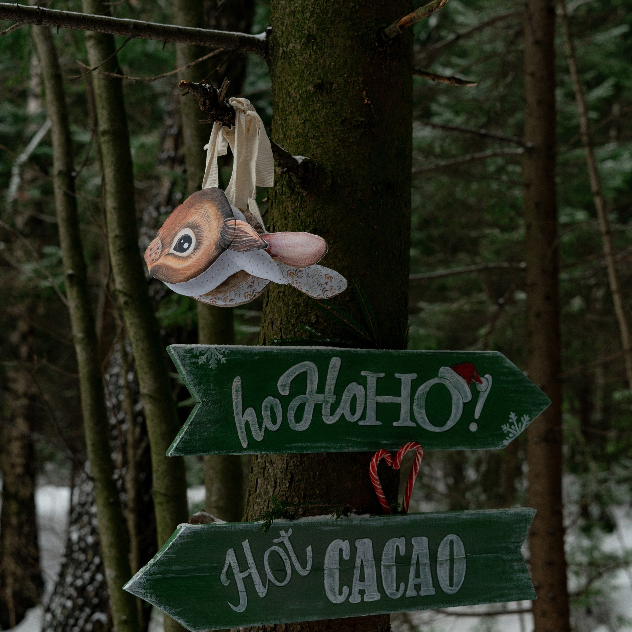 Отзывы. ТВОЙ ФОТОГРАФ — НАСТЯ ФОС