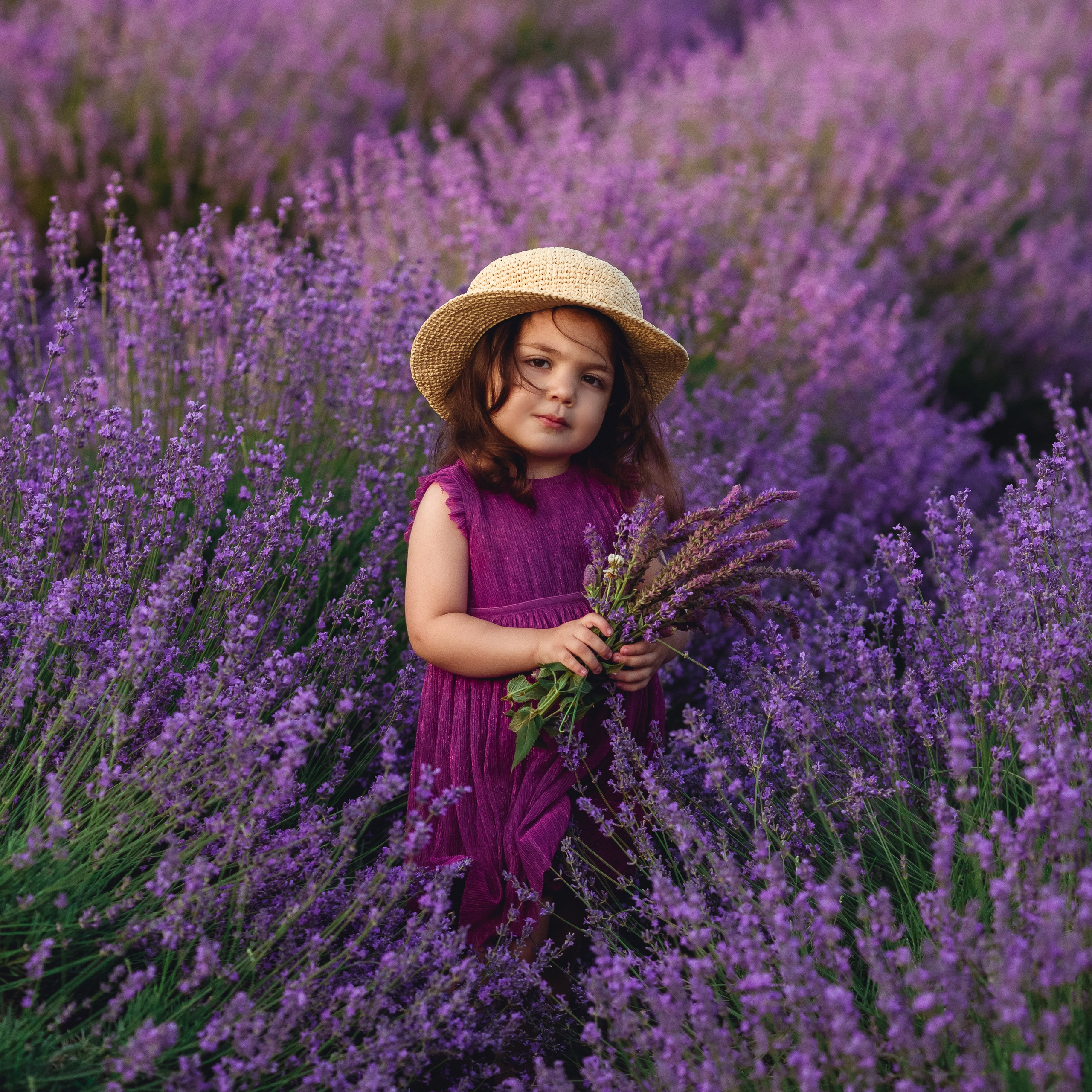 Лавандовые мотивы