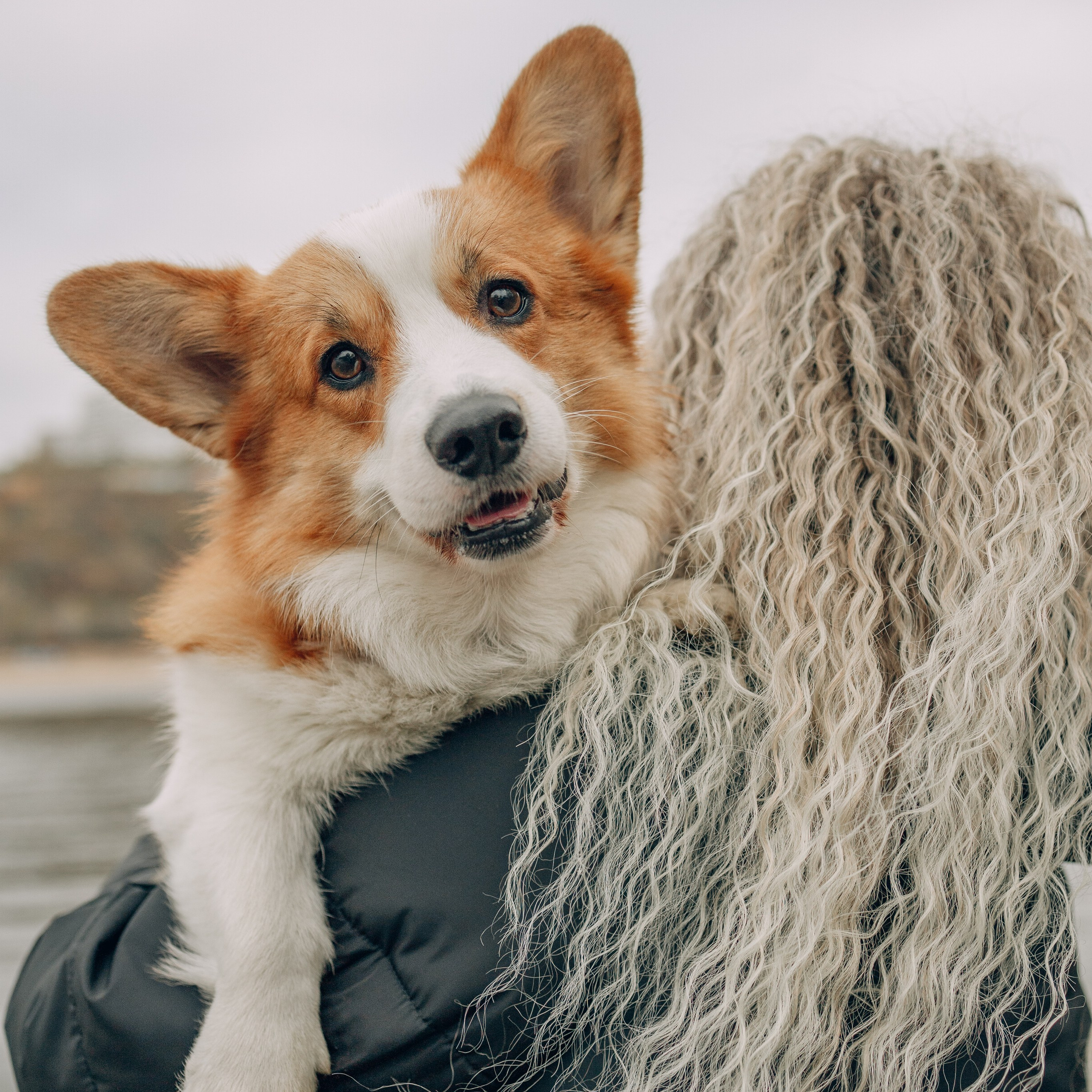 Надя и Перси