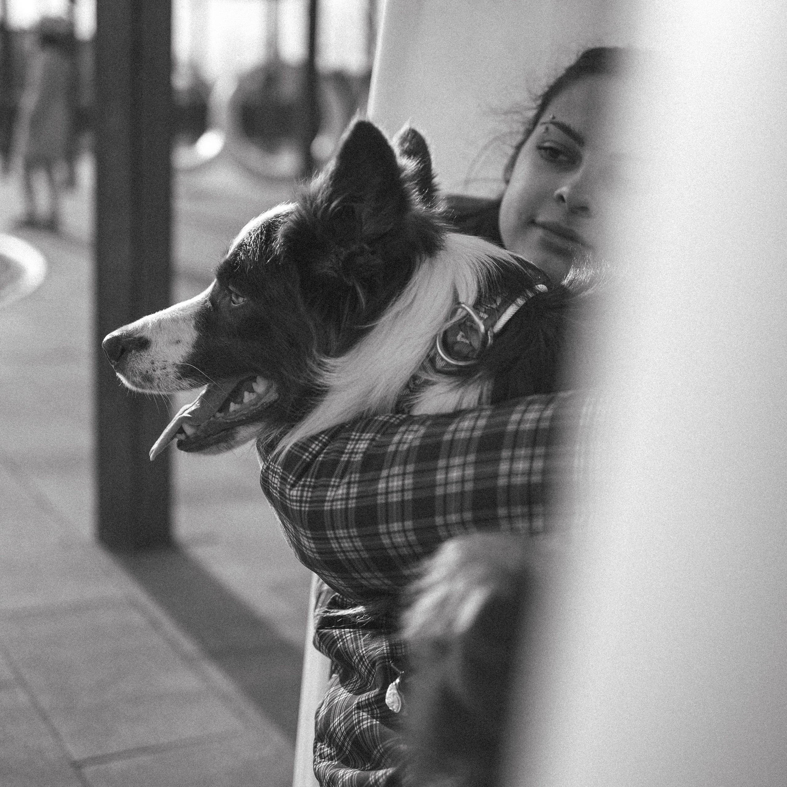 Маша и Тори