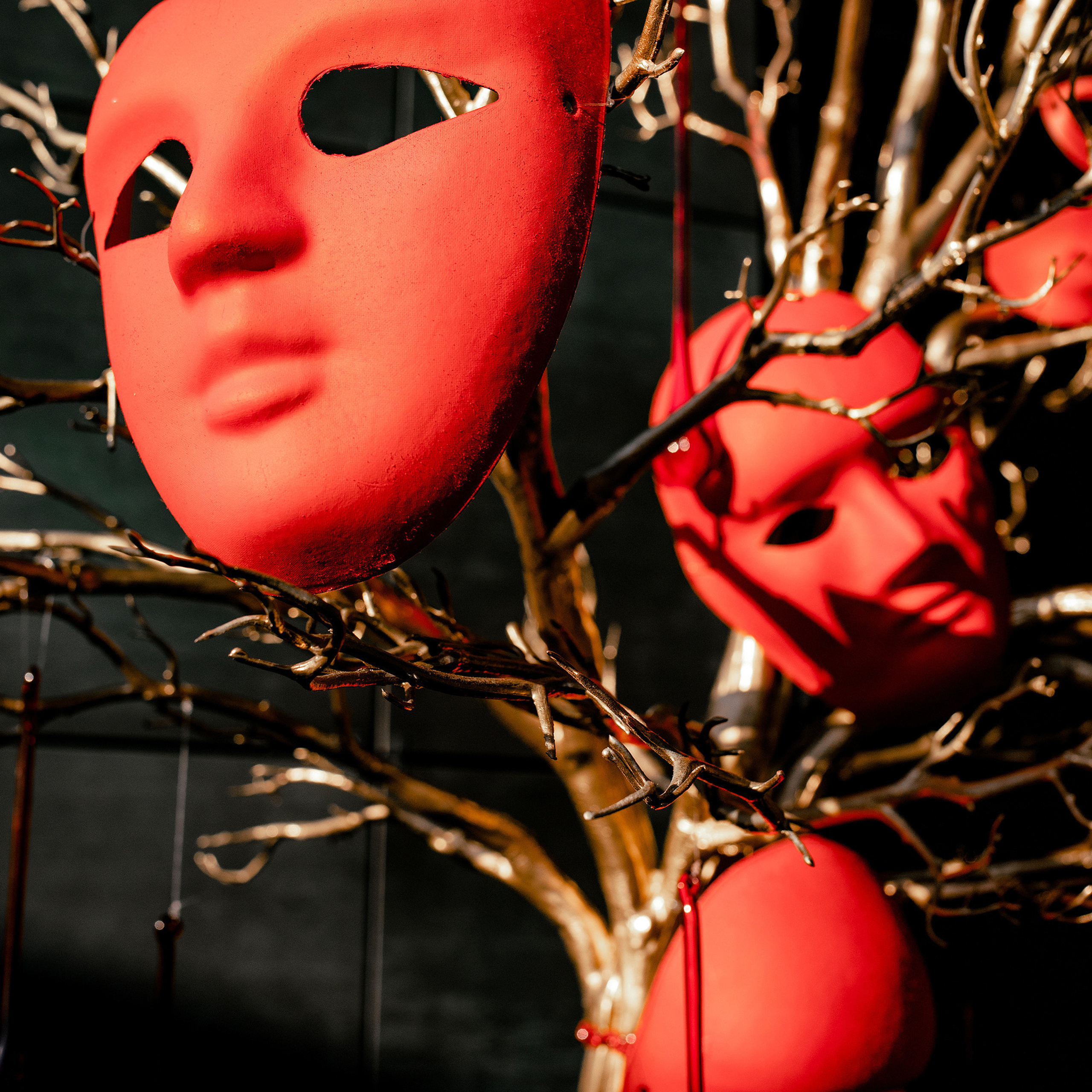 Отзывы. Свадебный фотограф ростов-на-Дону / Сочи / Москва