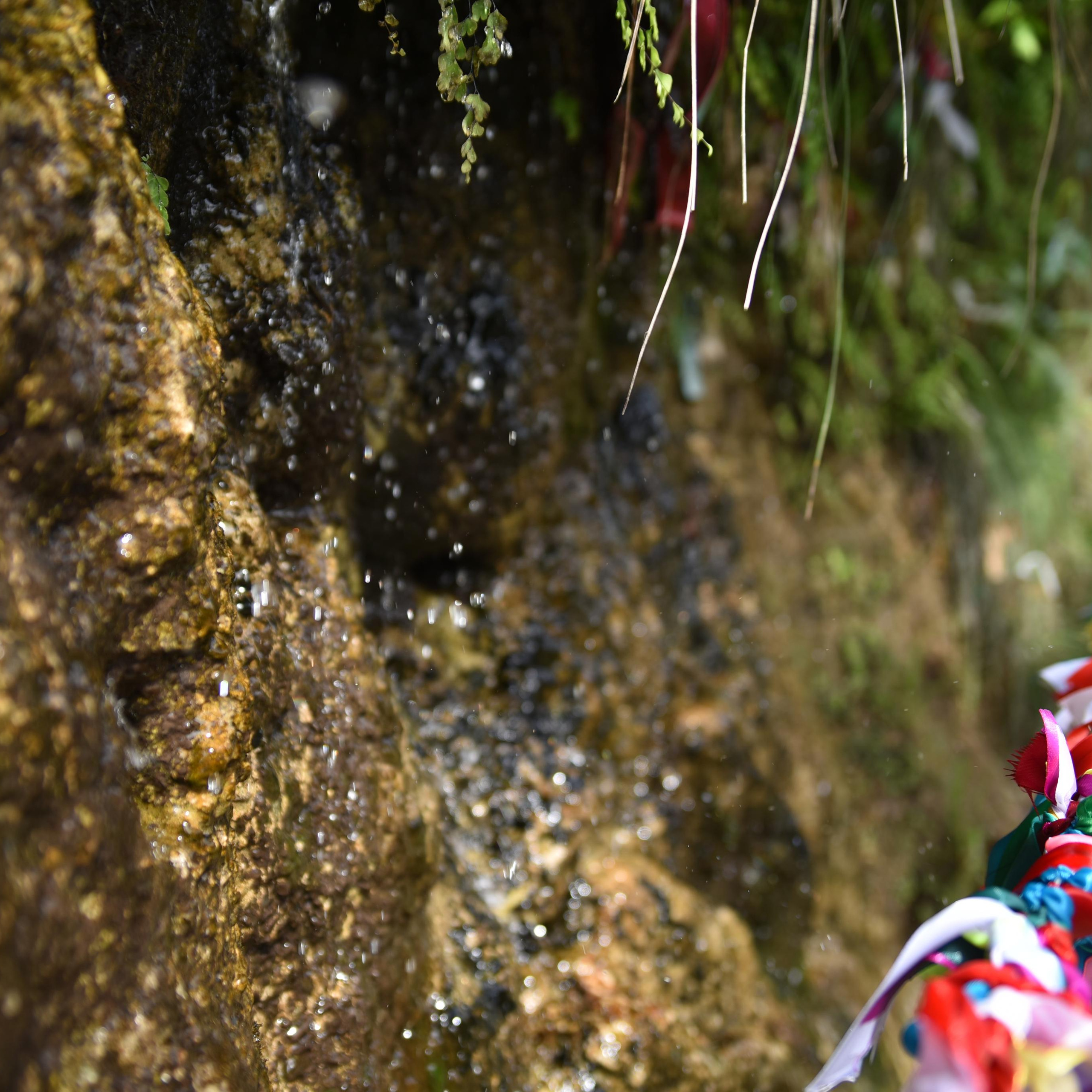 Путешествия