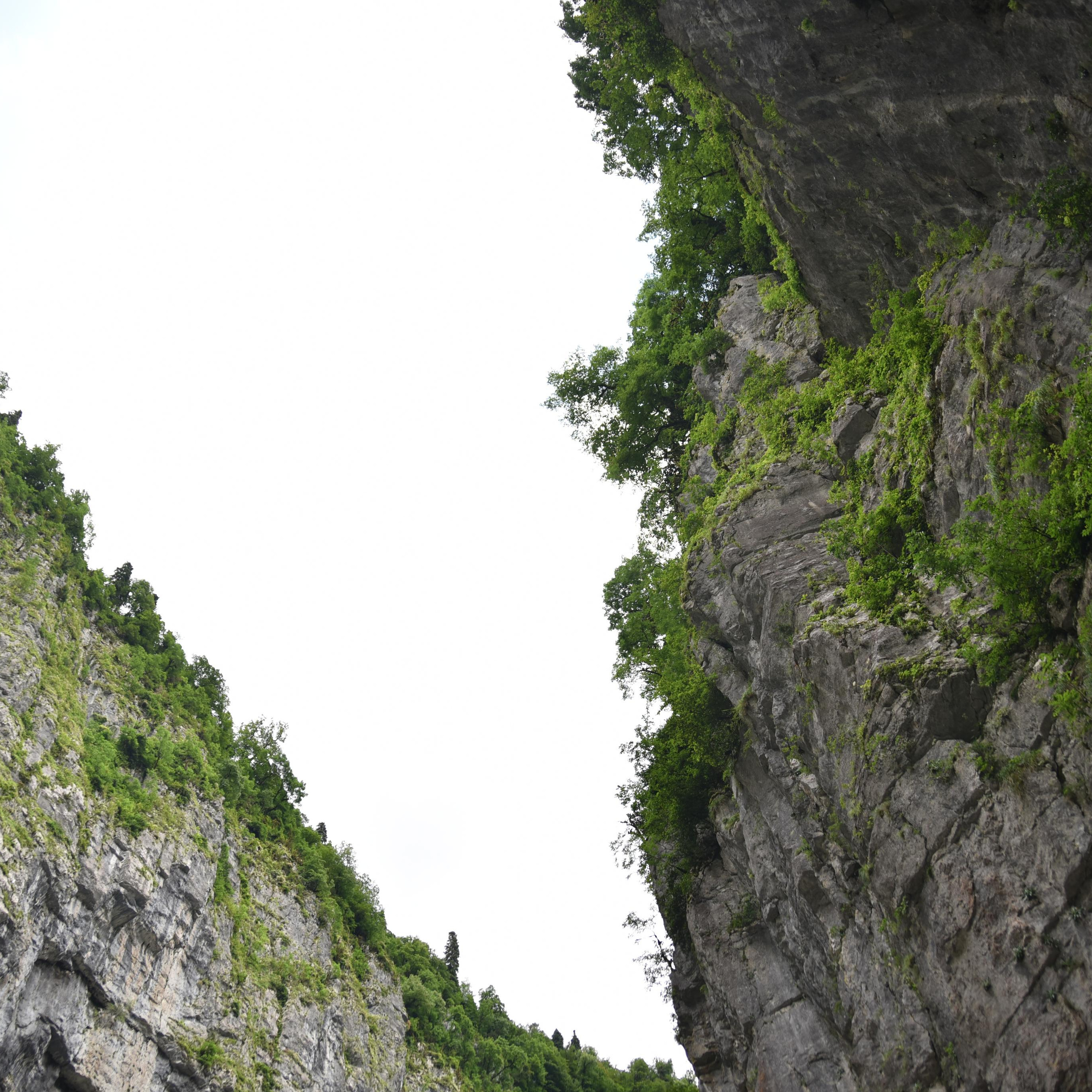 Путешествия