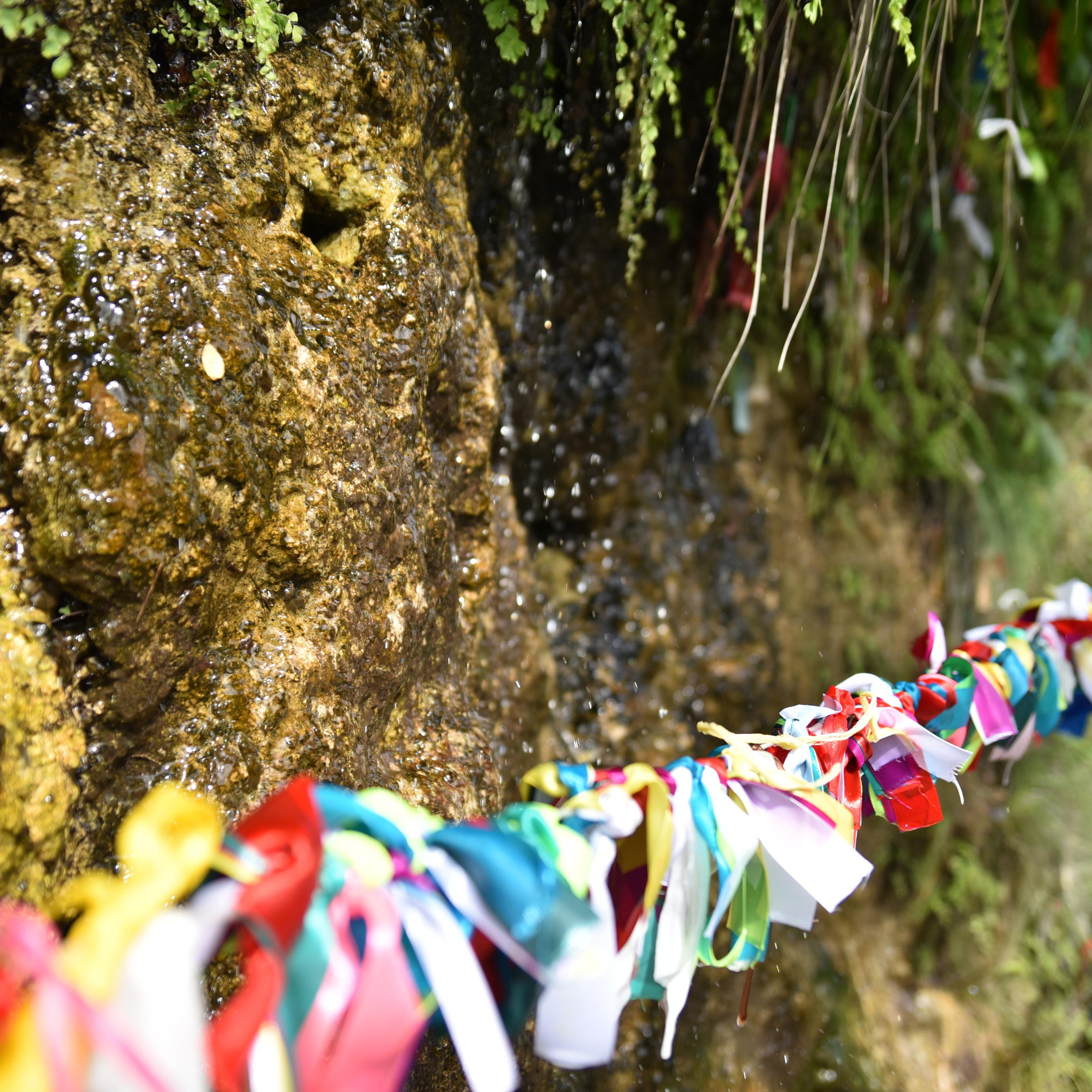 Путешествия