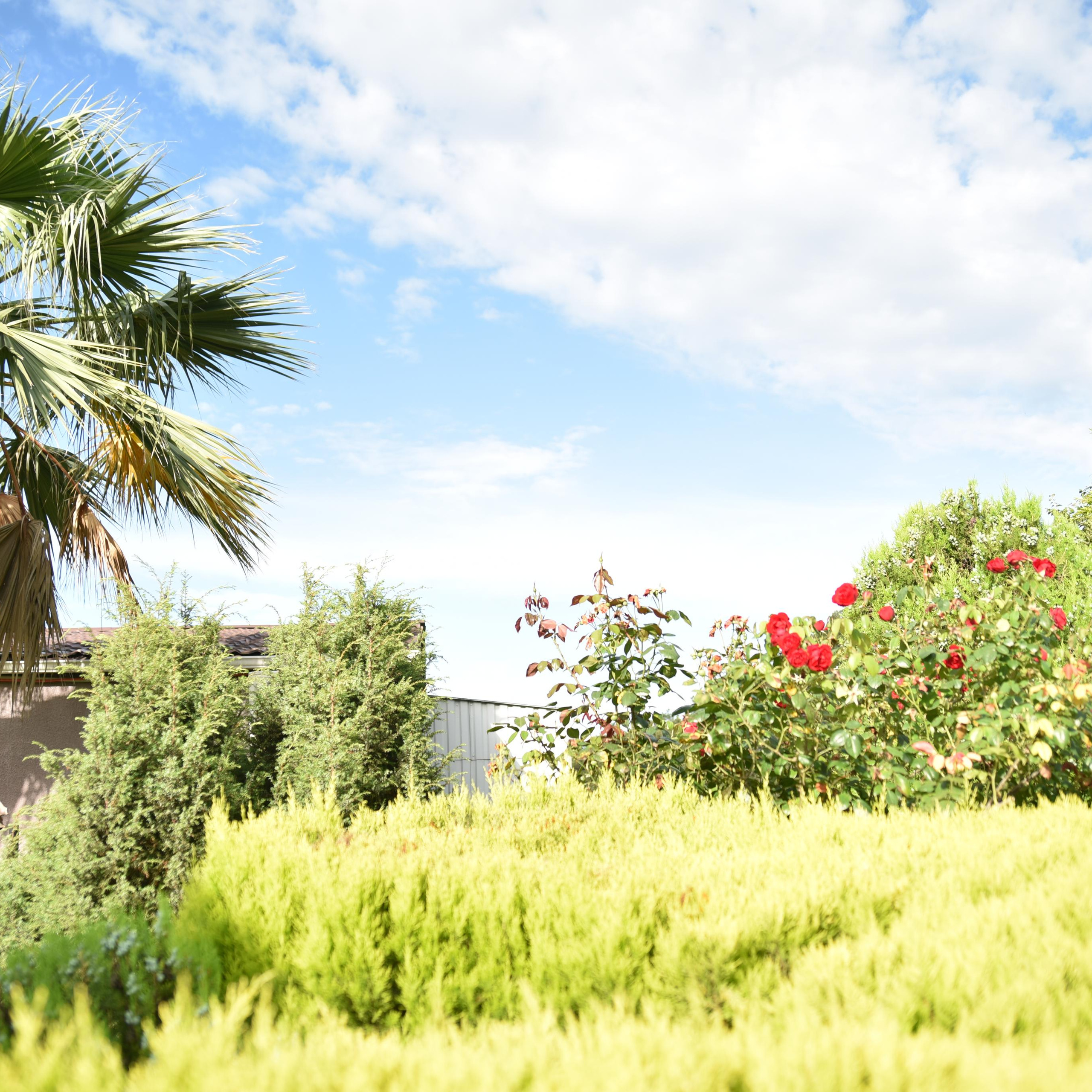 Путешествия