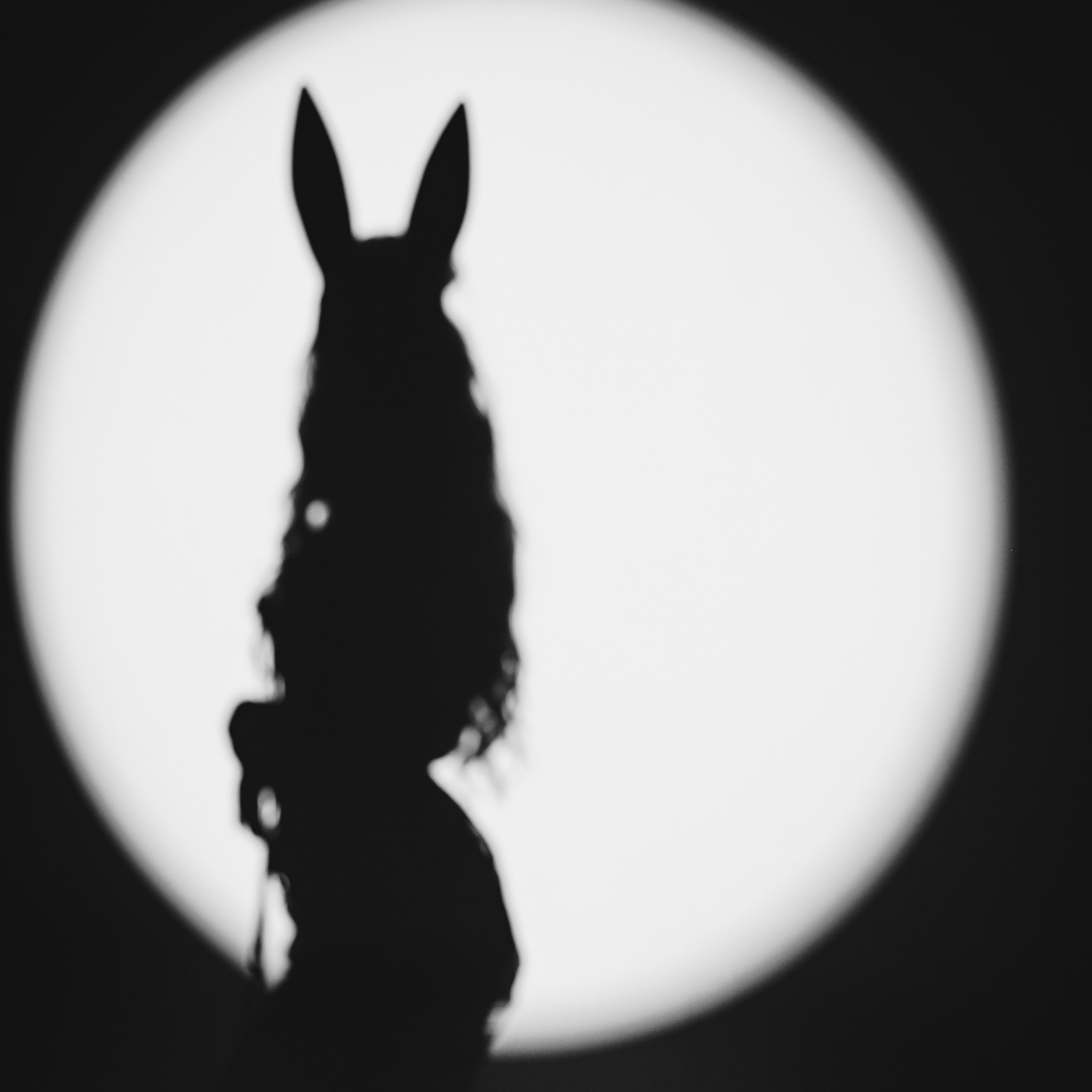 Саша&nbsp;— PlayBoy