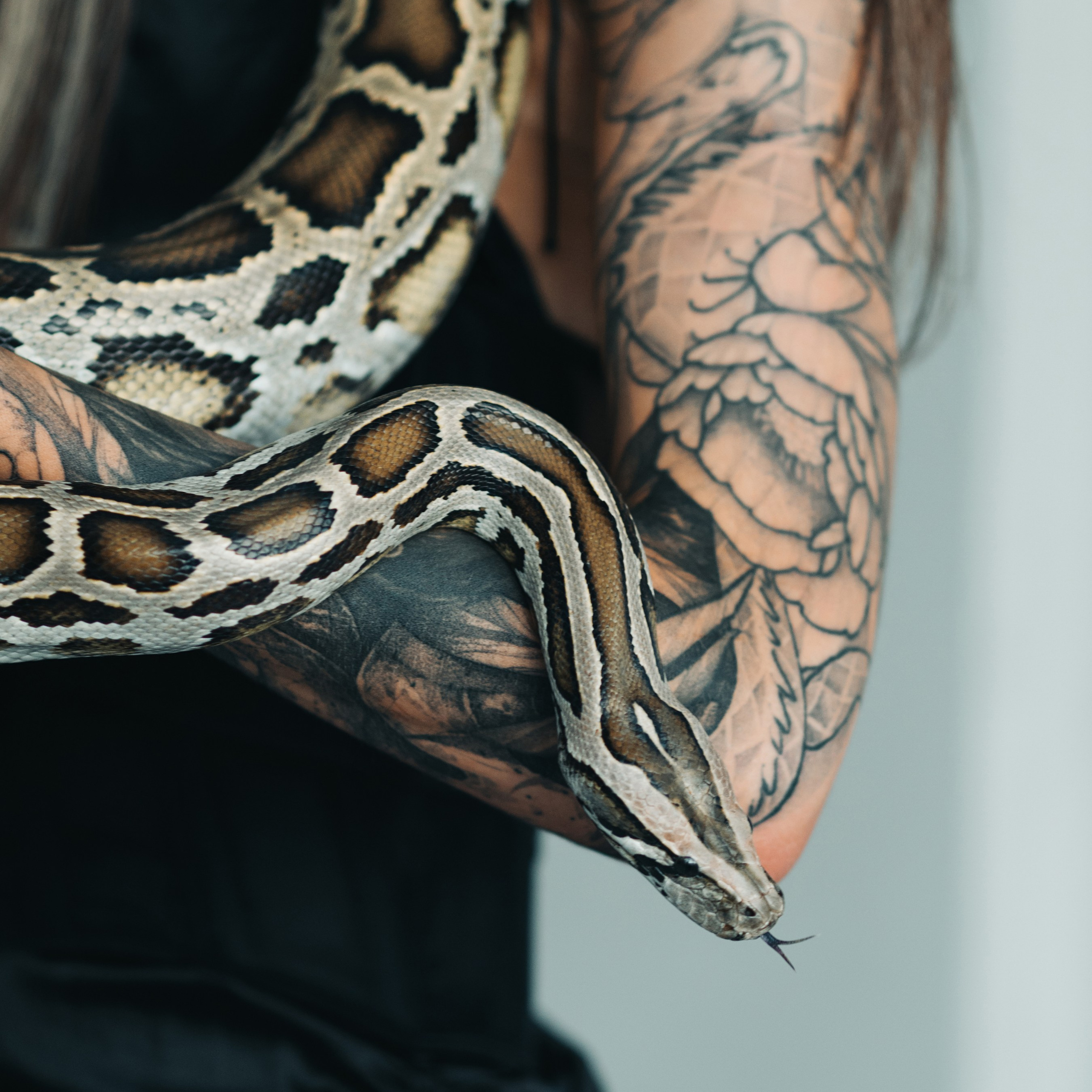 Саша с питоном