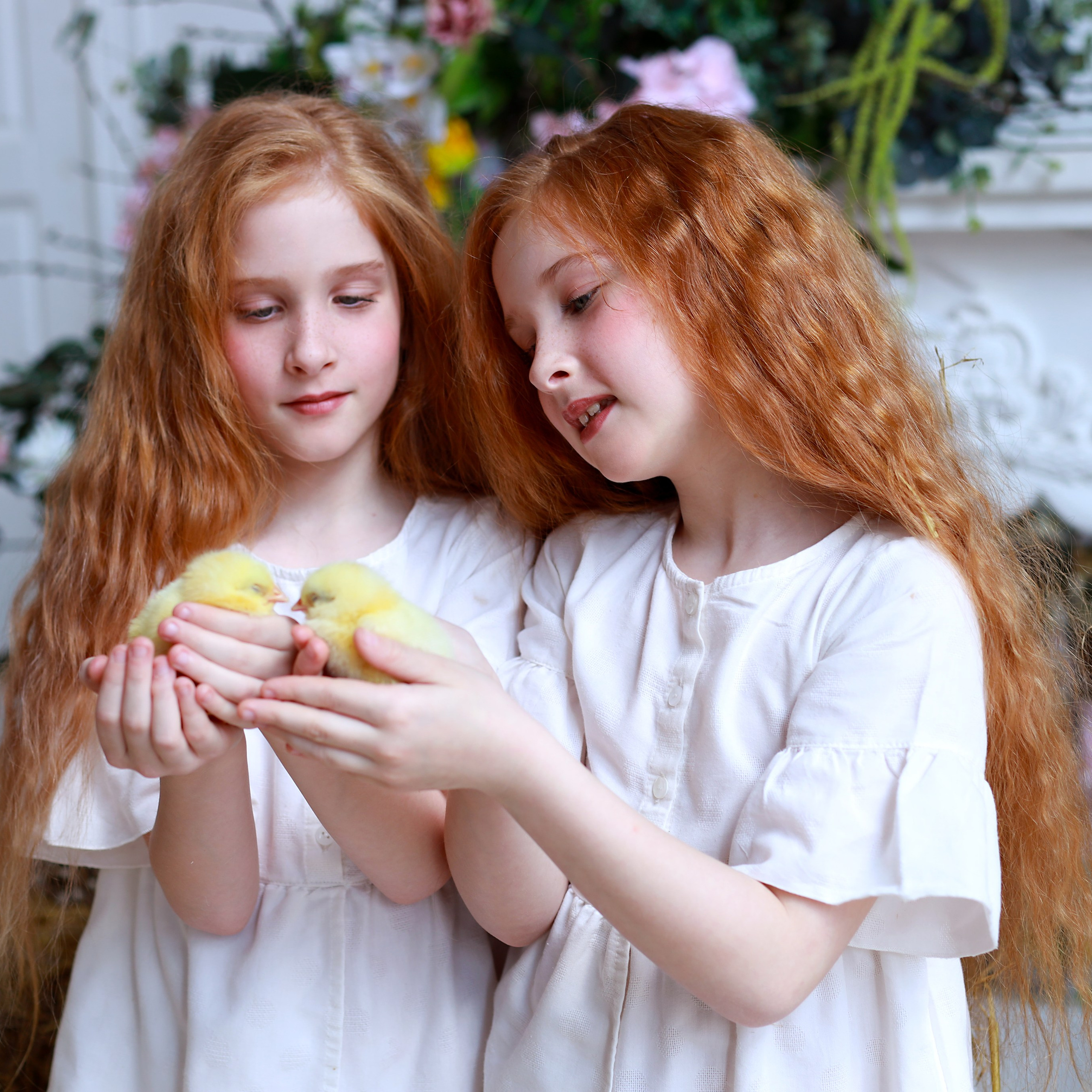 Оля и Вика с цыплятами