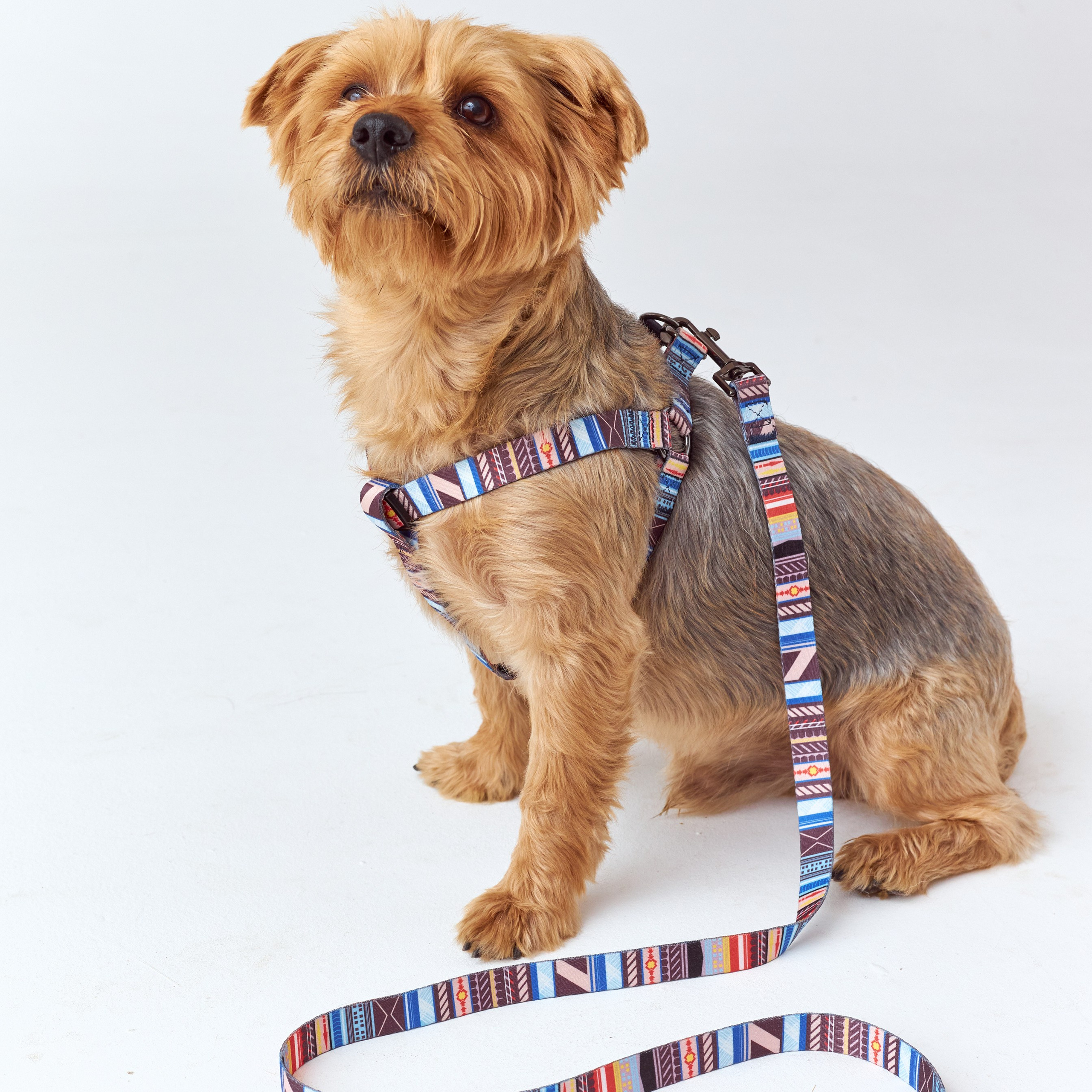 Предметка. Коммерческий фотограф, видеограф | Евгений Кудинов