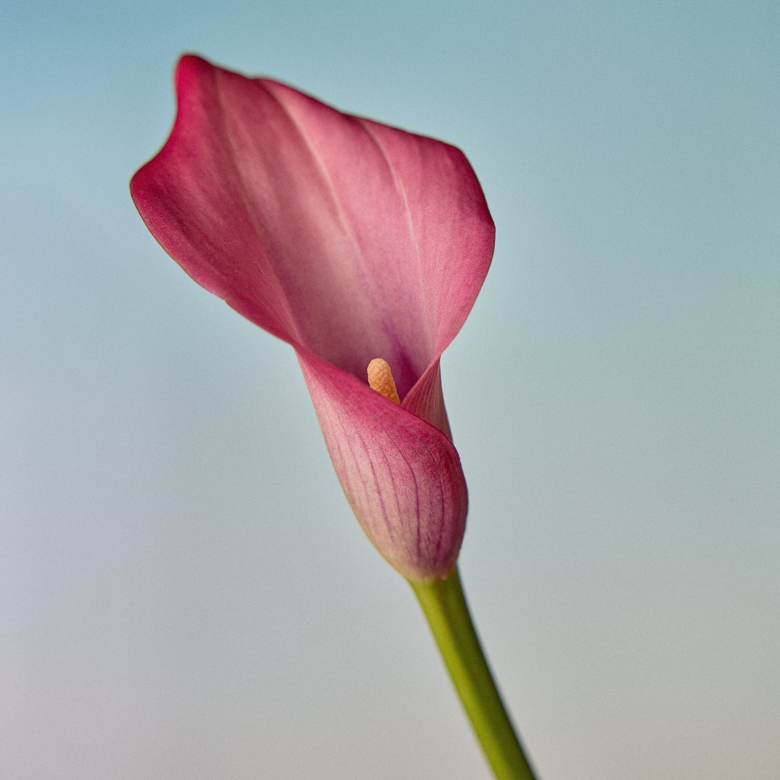 Предметка. Коммерческий фотограф, видеограф | Евгений Кудинов