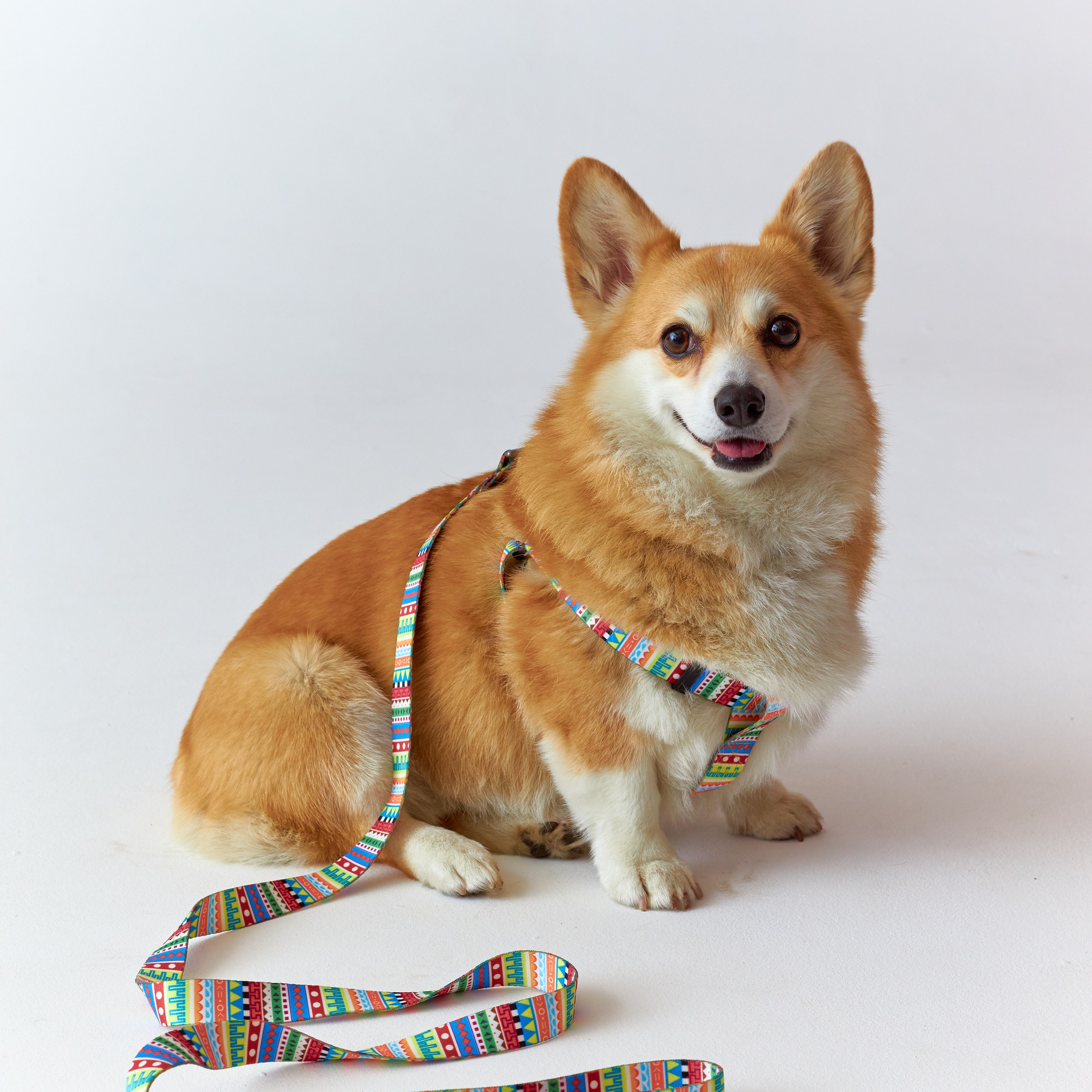 Предметка. Коммерческий фотограф, видеограф | Евгений Кудинов