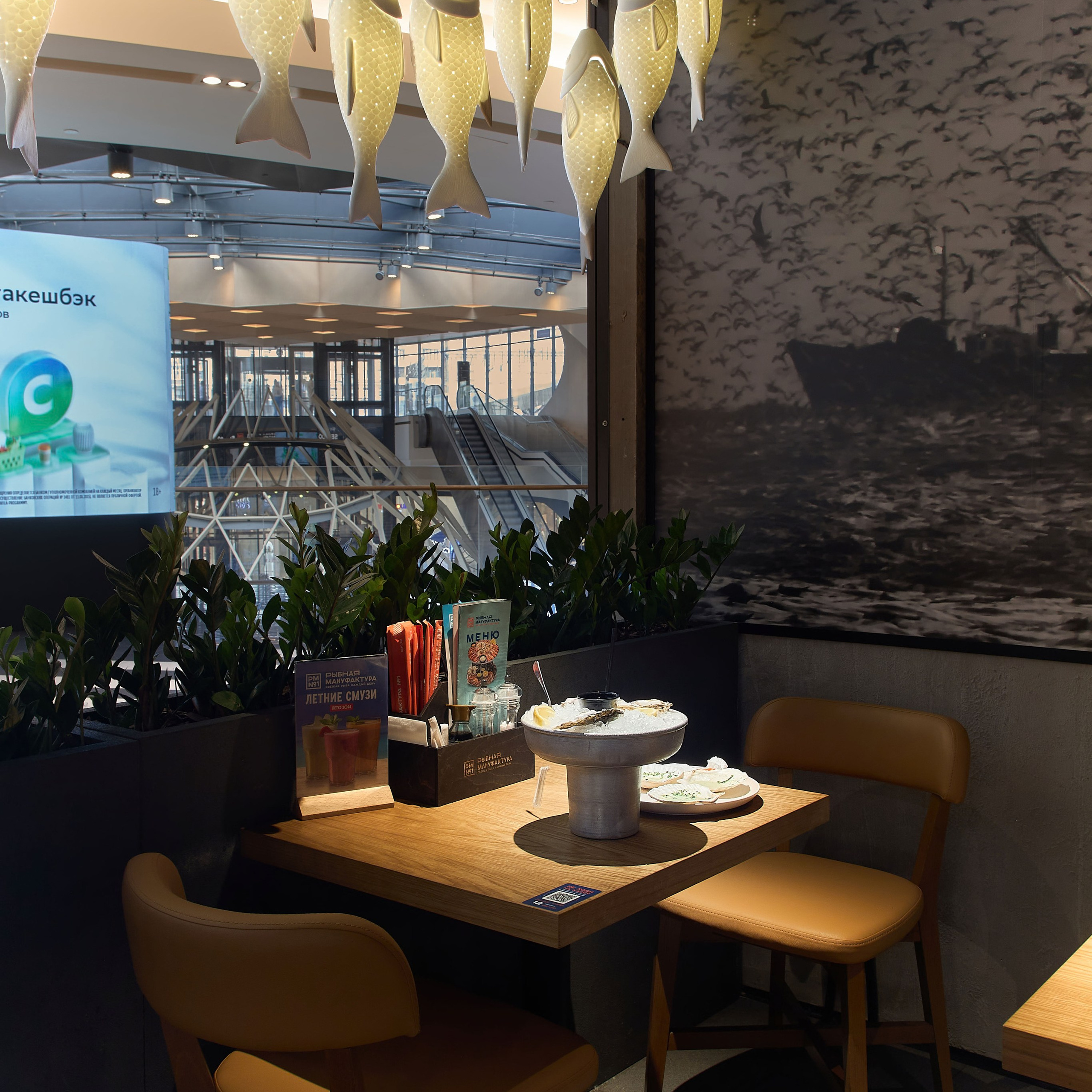 Контент для ТЦ. Коммерческий фотограф, видеограф | Евгений Кудинов