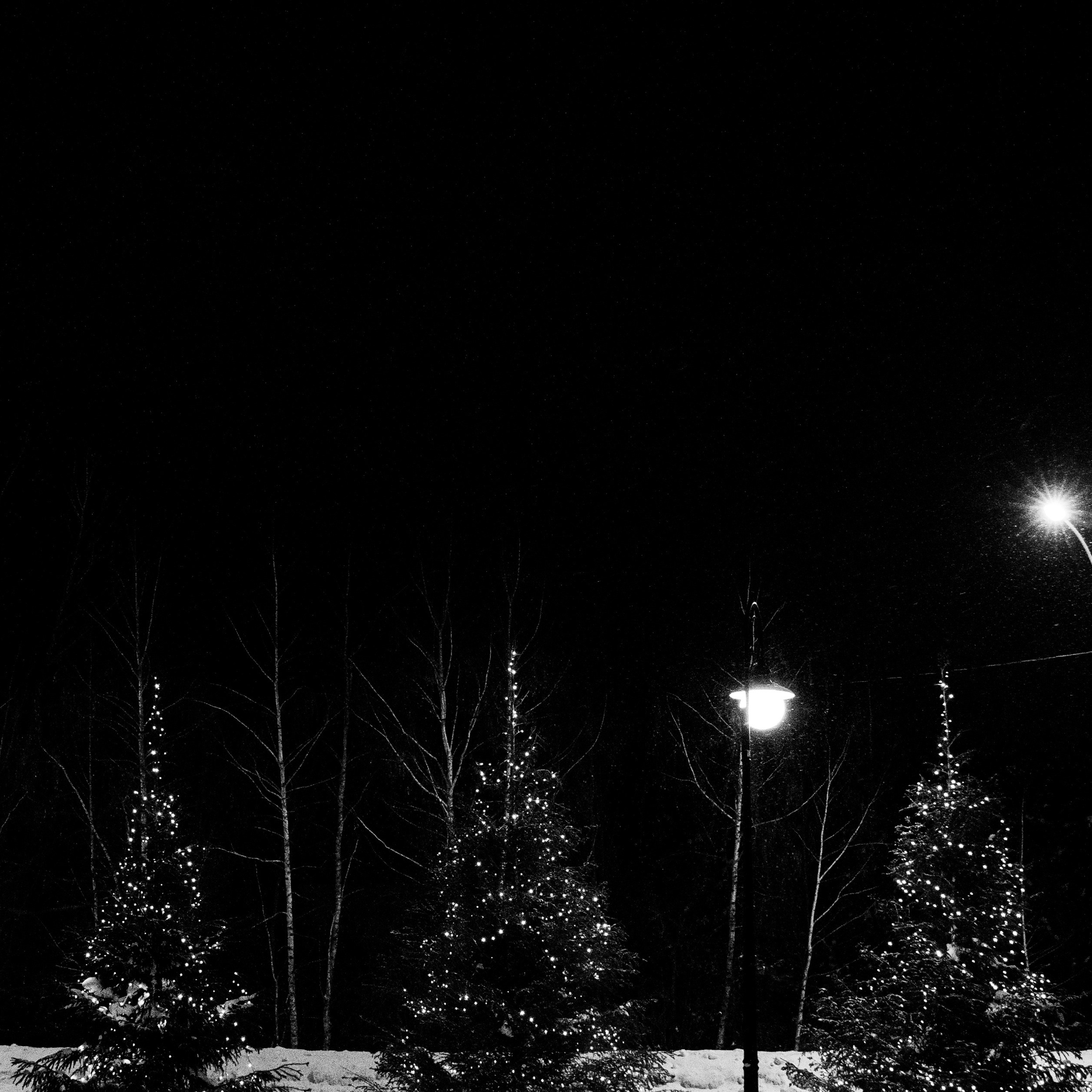 ОТЗЫВЫ. Саша Потапкин Фотограф. Сочи, Екатеринбург, Москва