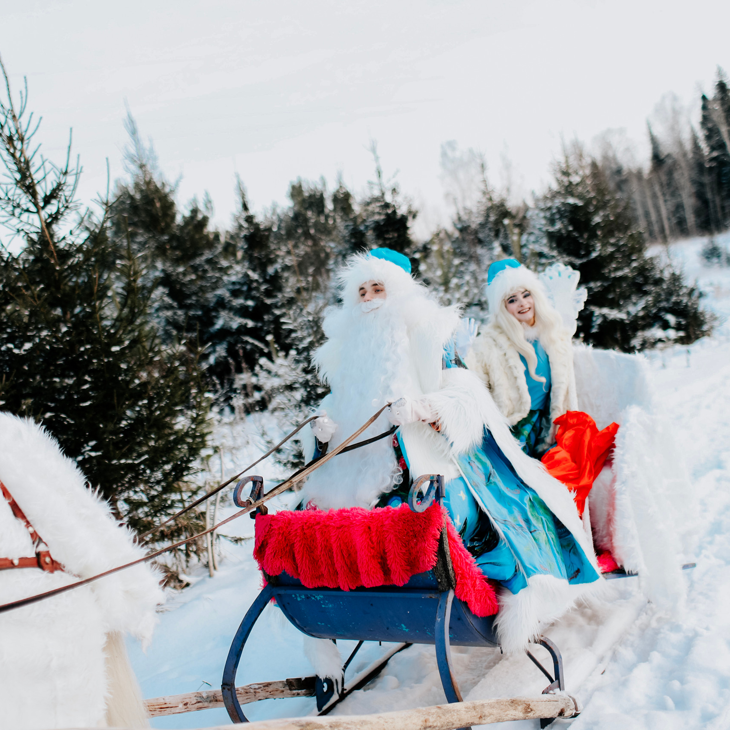 В гостях у Деда Мороза