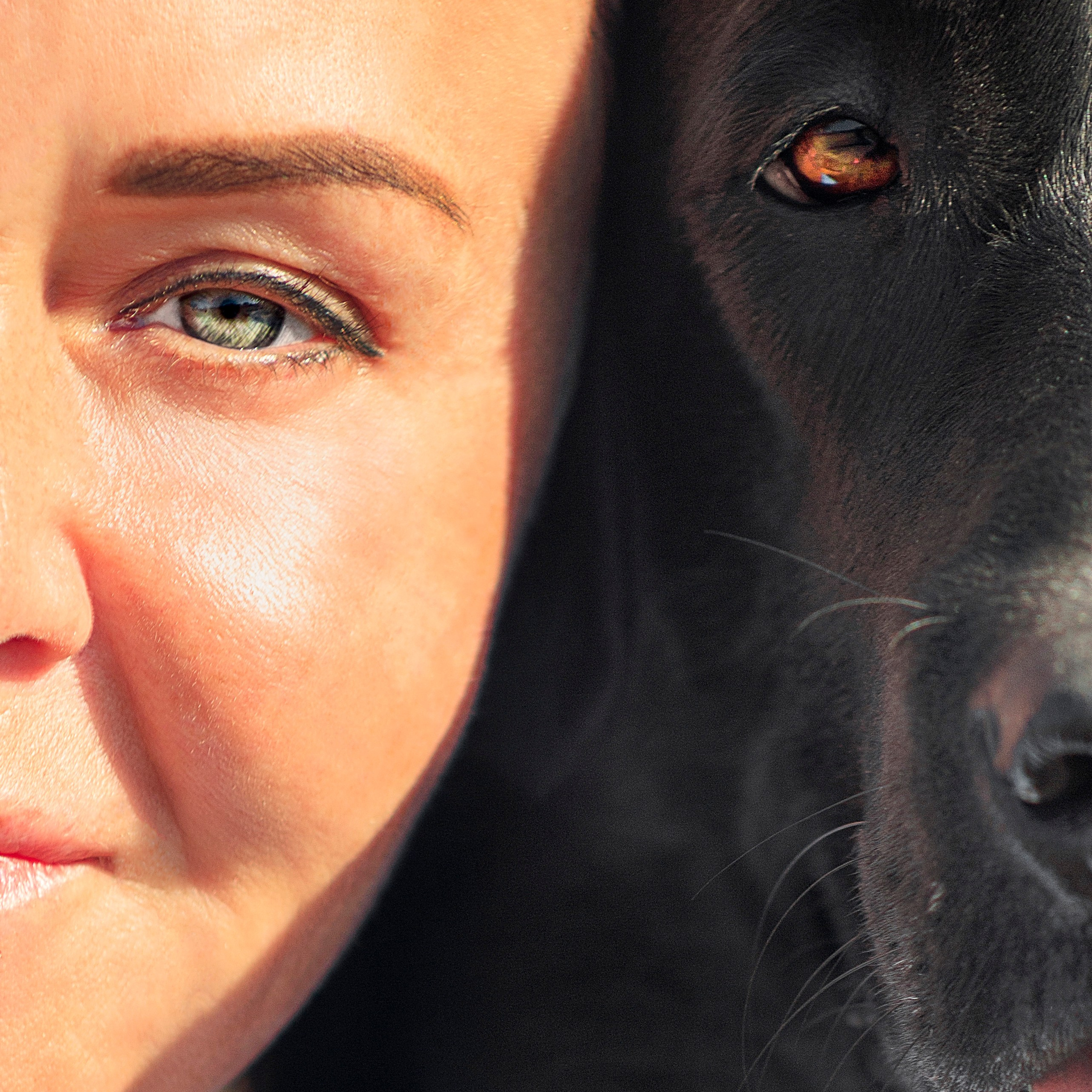 Анимализм Анжелика Сентябрь