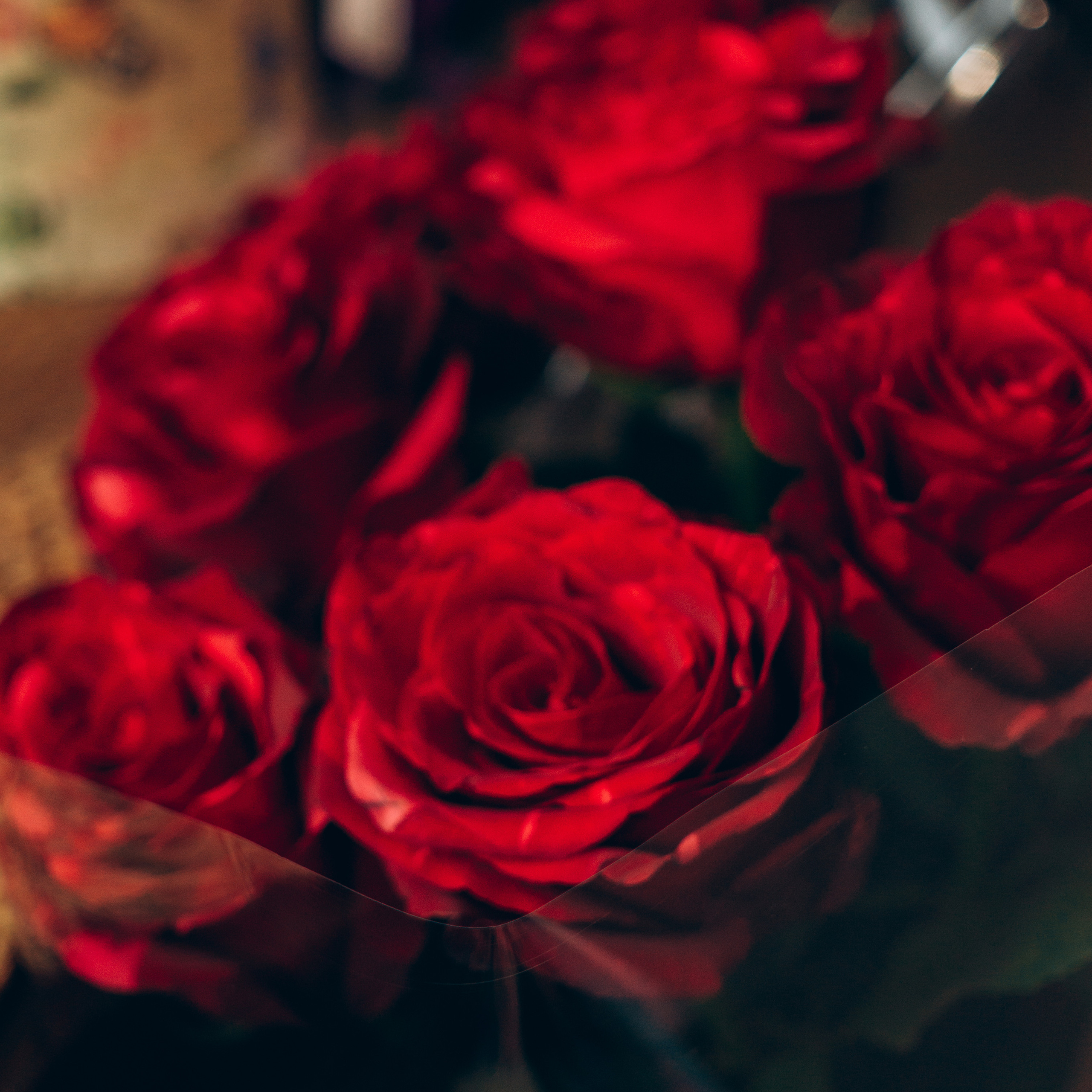 Отзывы. Фотограф в Томске Светлана Нестерова