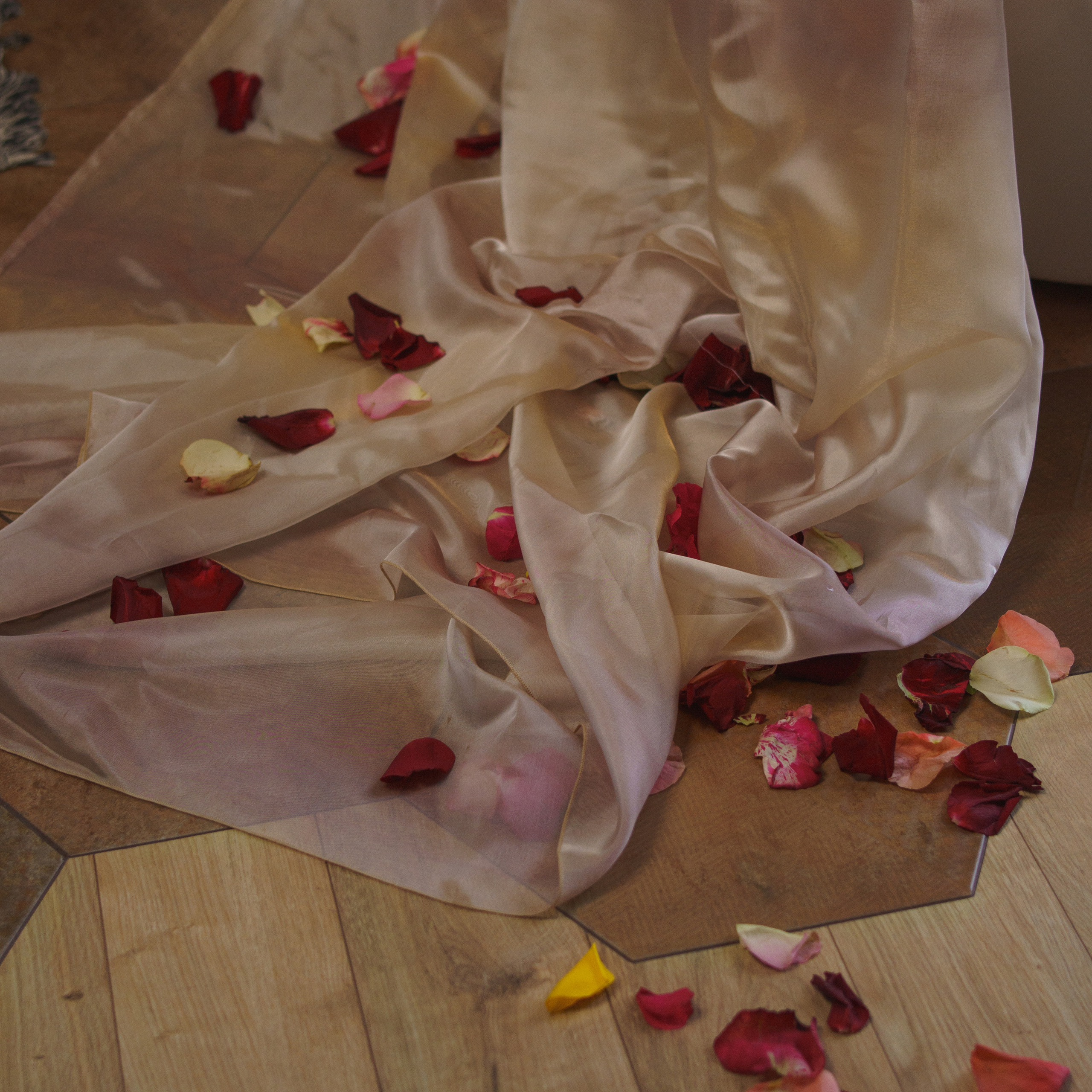 Отзывы. Фотограф в Томске Светлана Нестерова