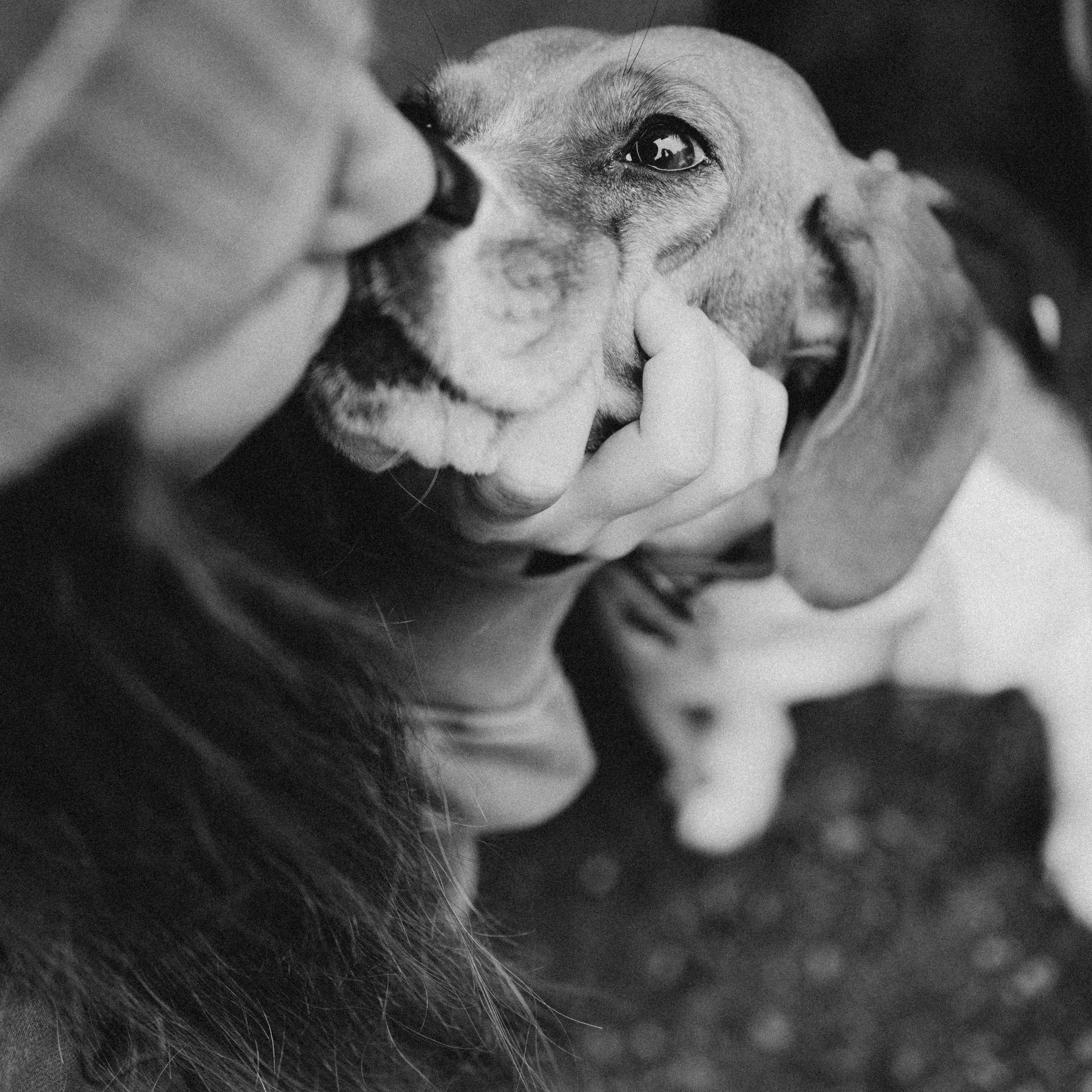 Света и Ива