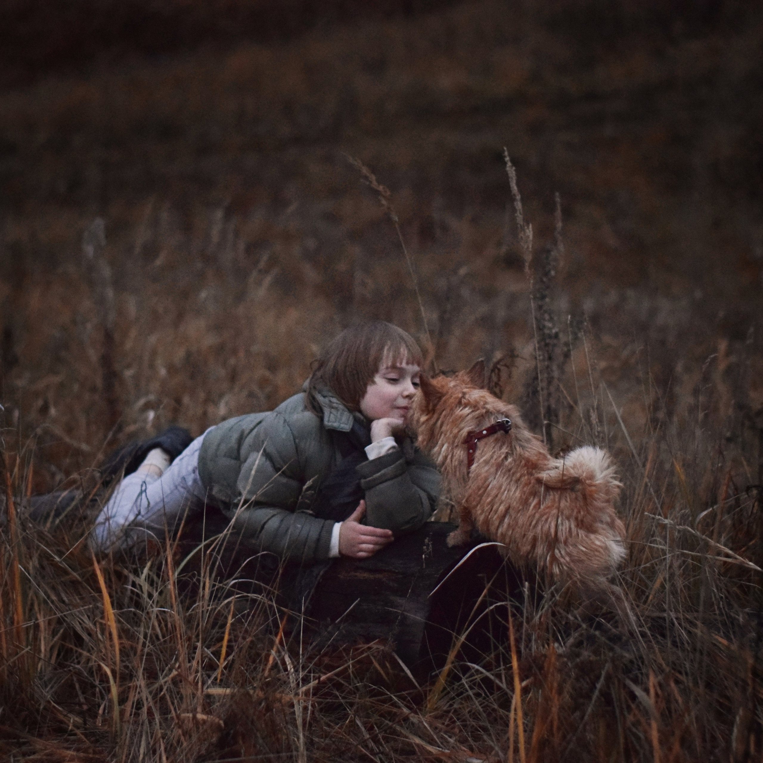 История большой дружбы