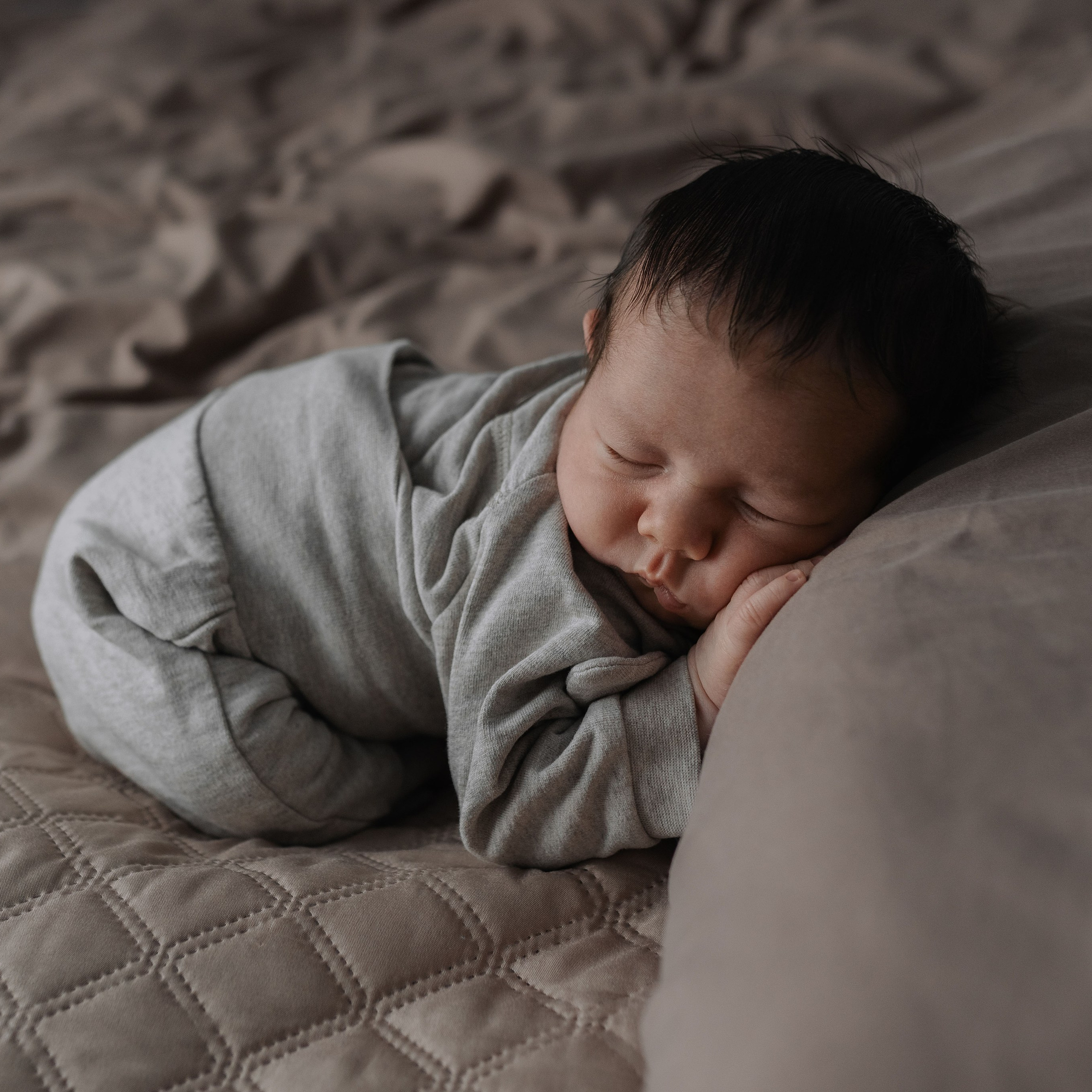 Дмитрий Сергеевич