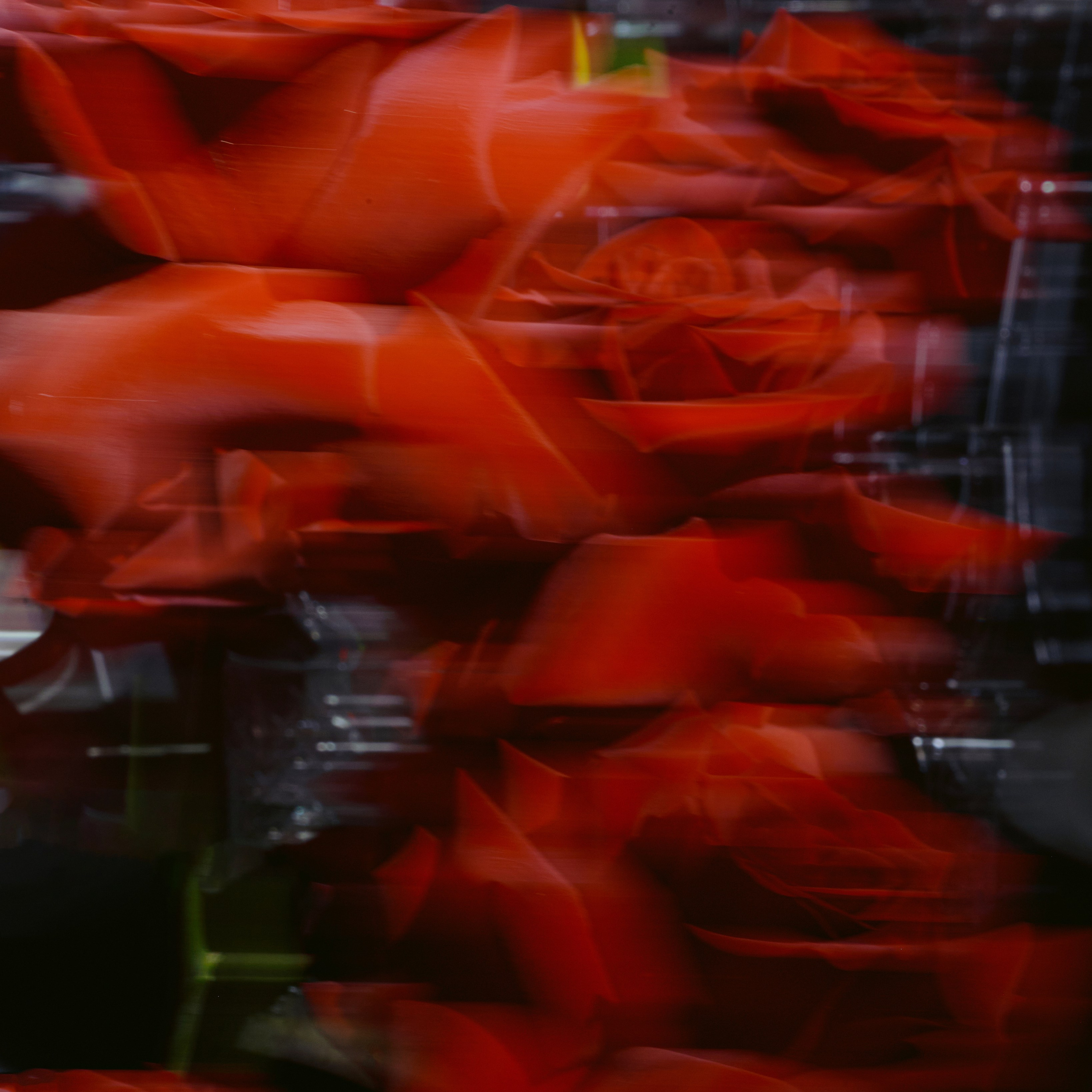 75 лет День Рождения