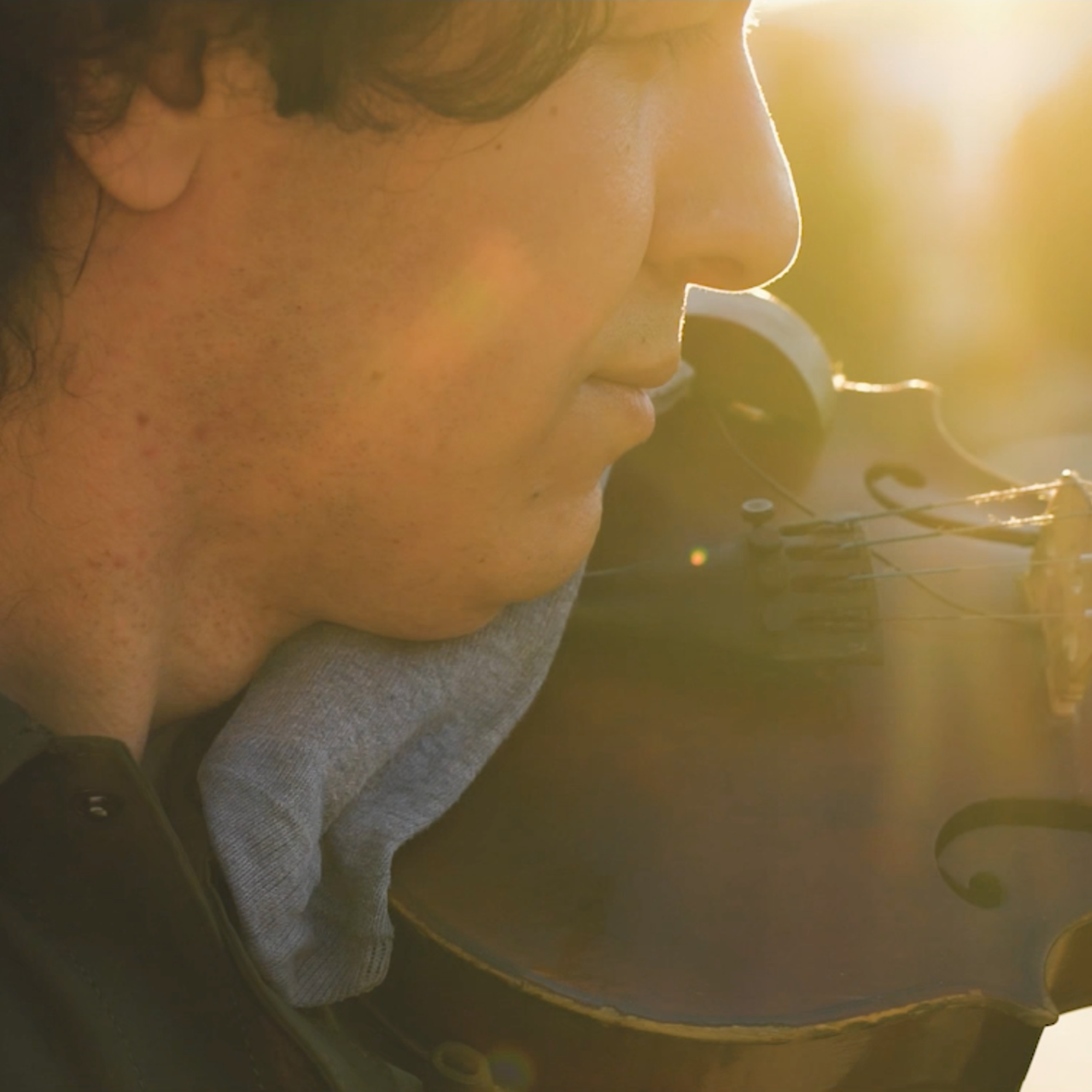 документальное