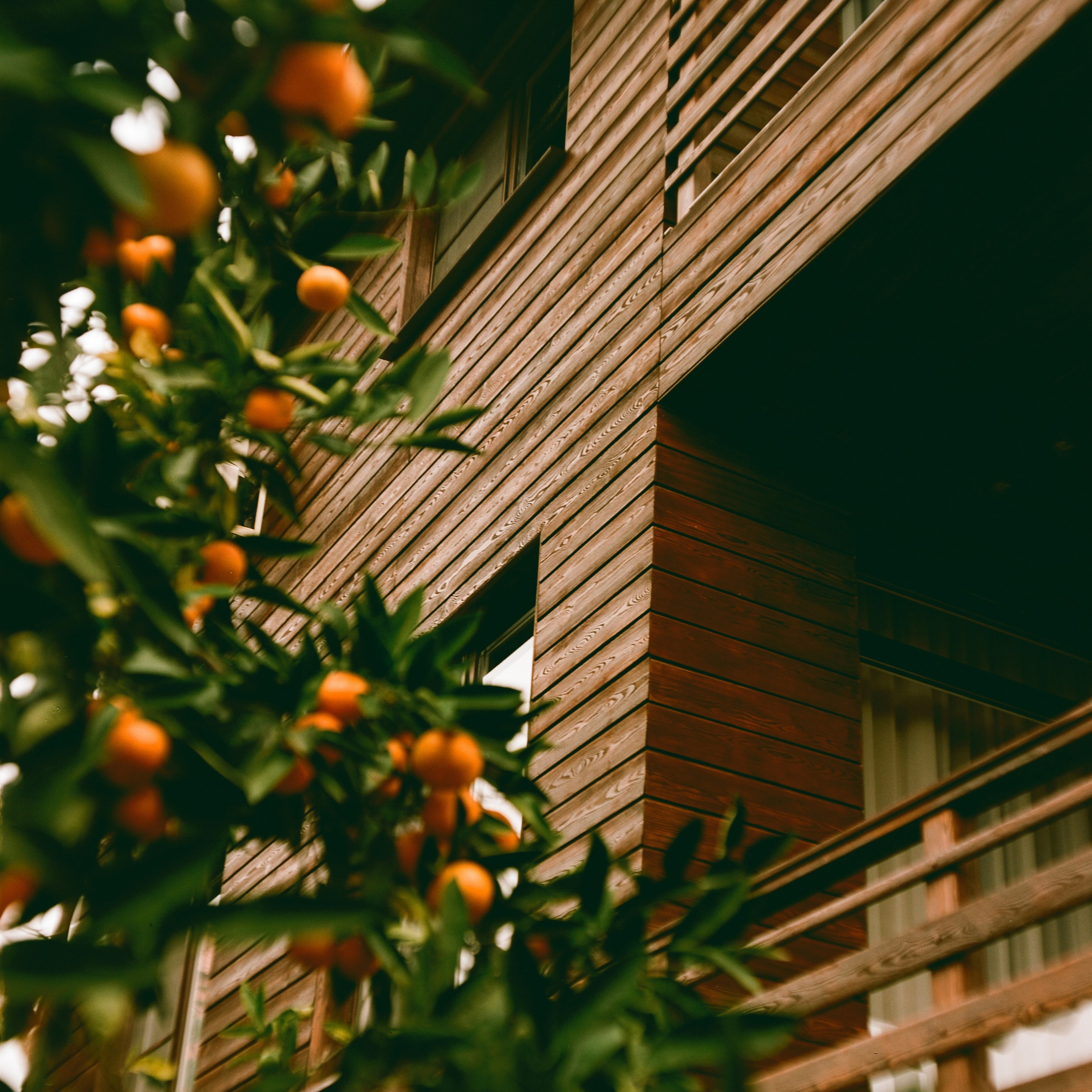 Ремонт мамия в Москве отзывы. Ремонт Mamiya в Москве, Санкт петербурге