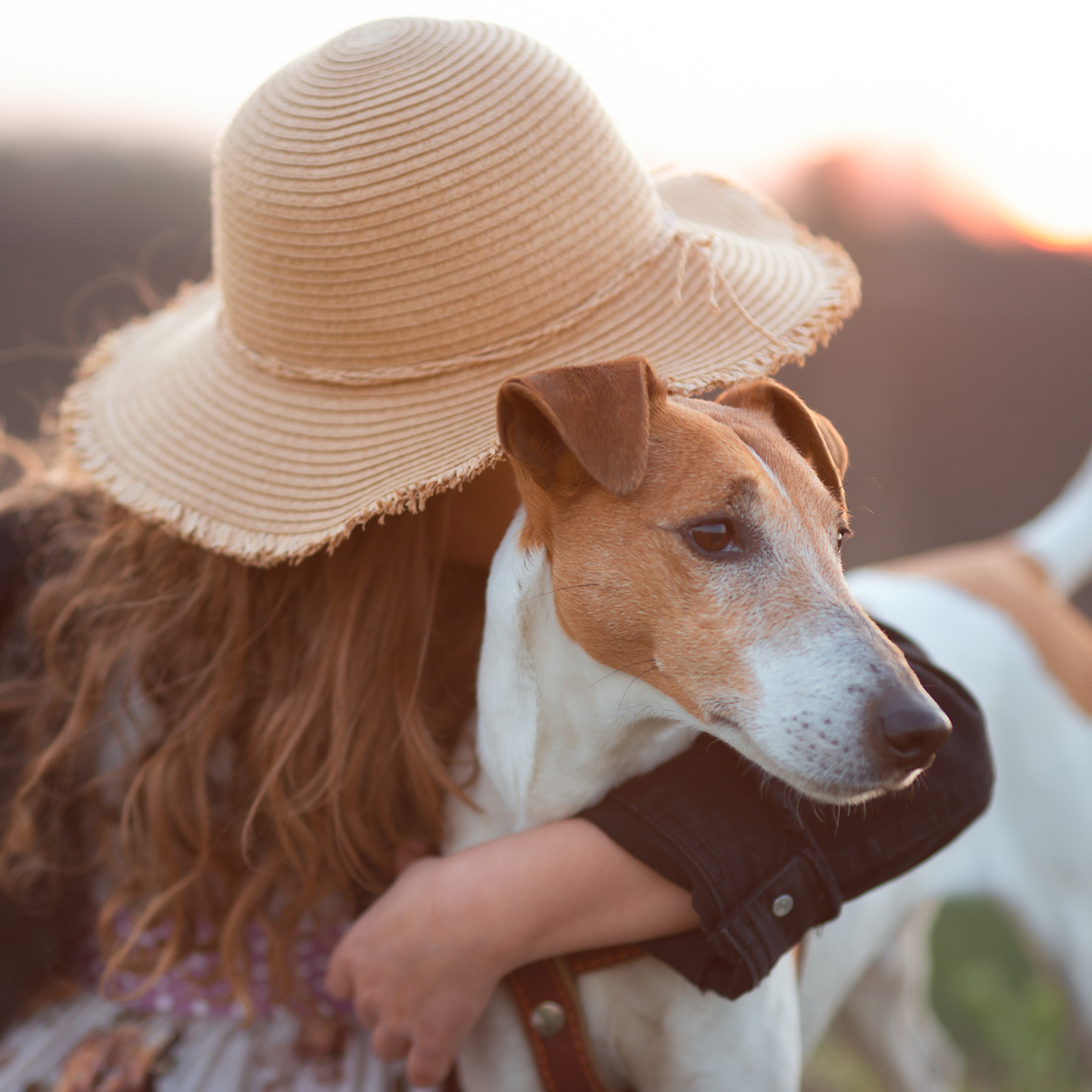 Кира, яблоки и Рэй. Апрель 2020