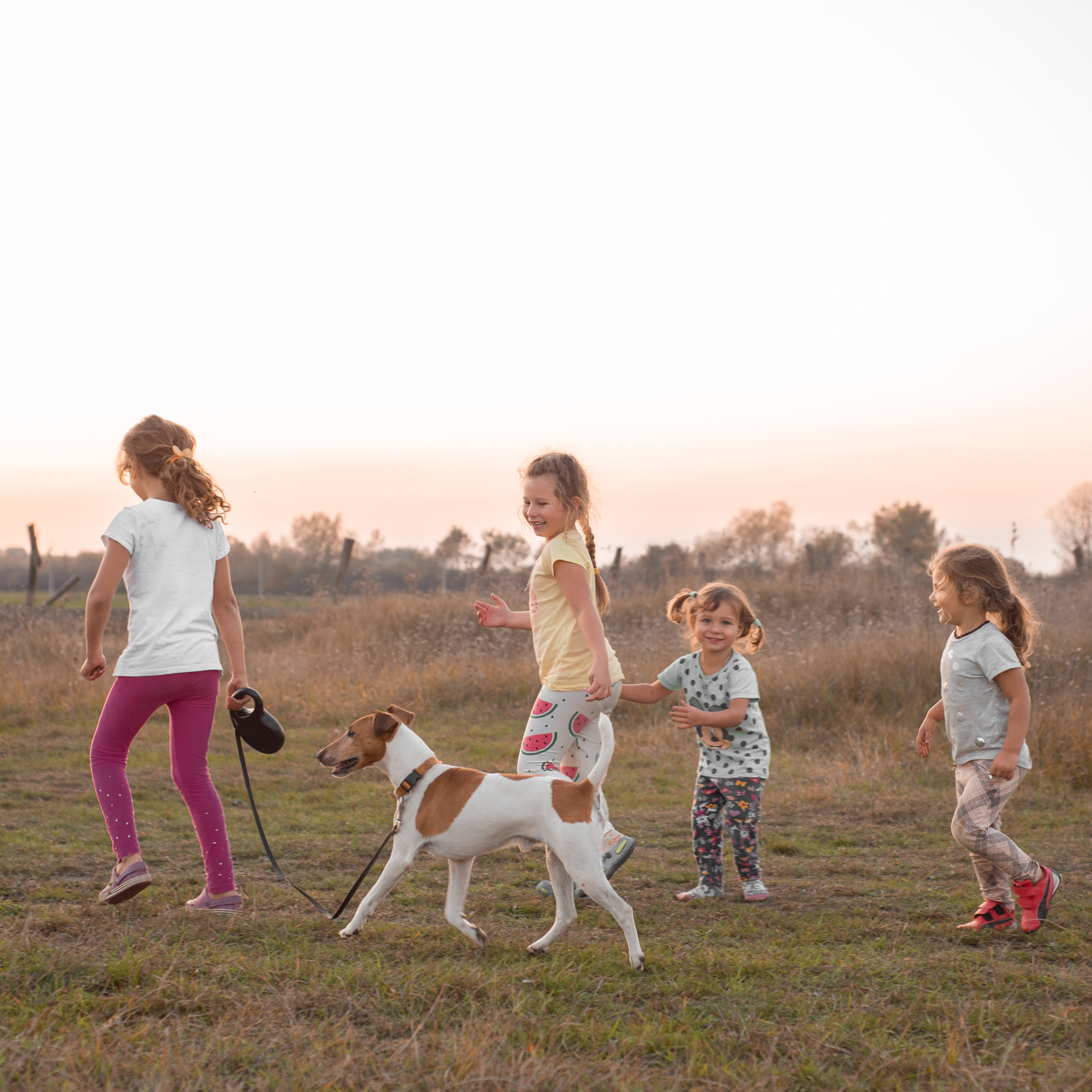 Деревенские девчёнки с собакой. Октябрь 2019