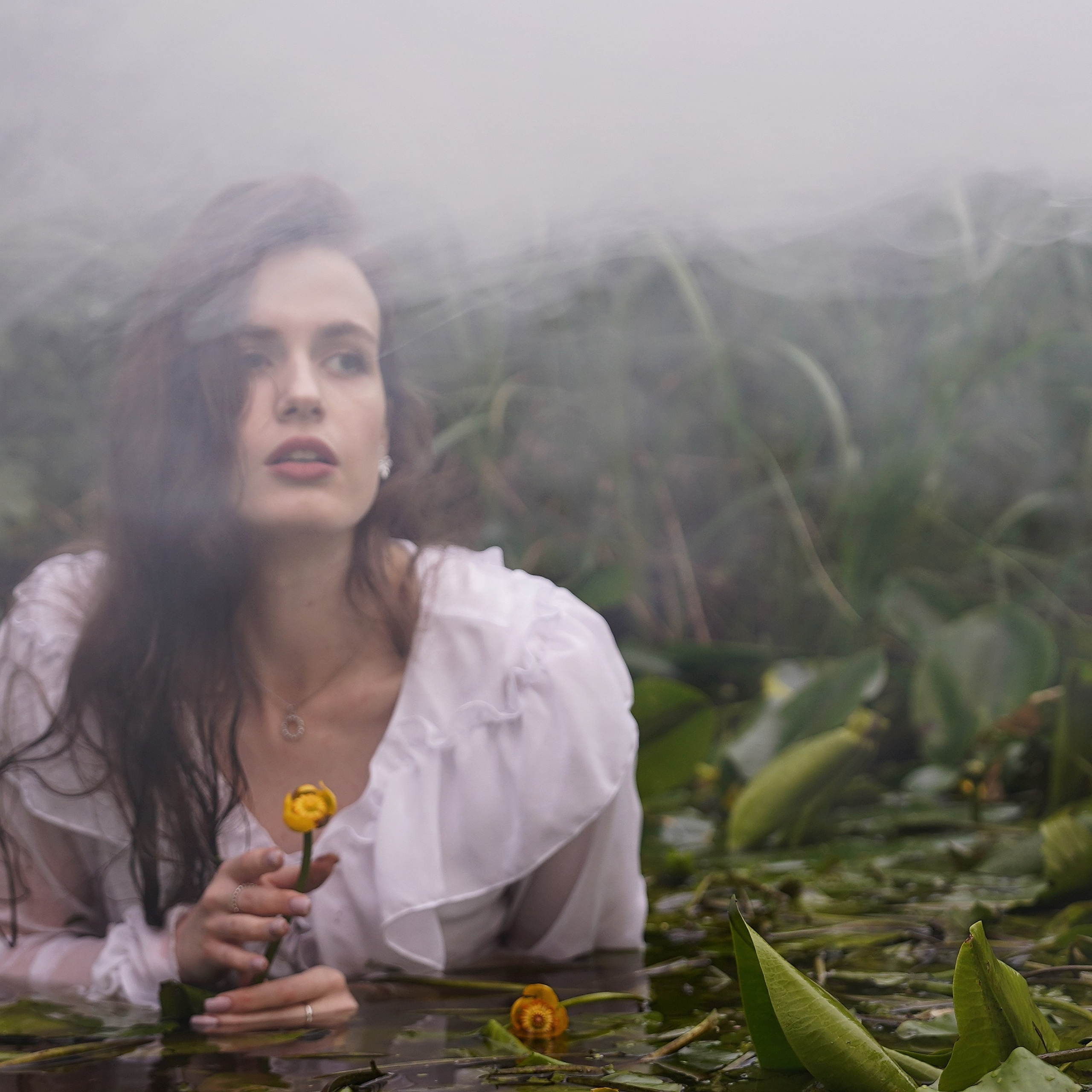 Русалки и водные лилии