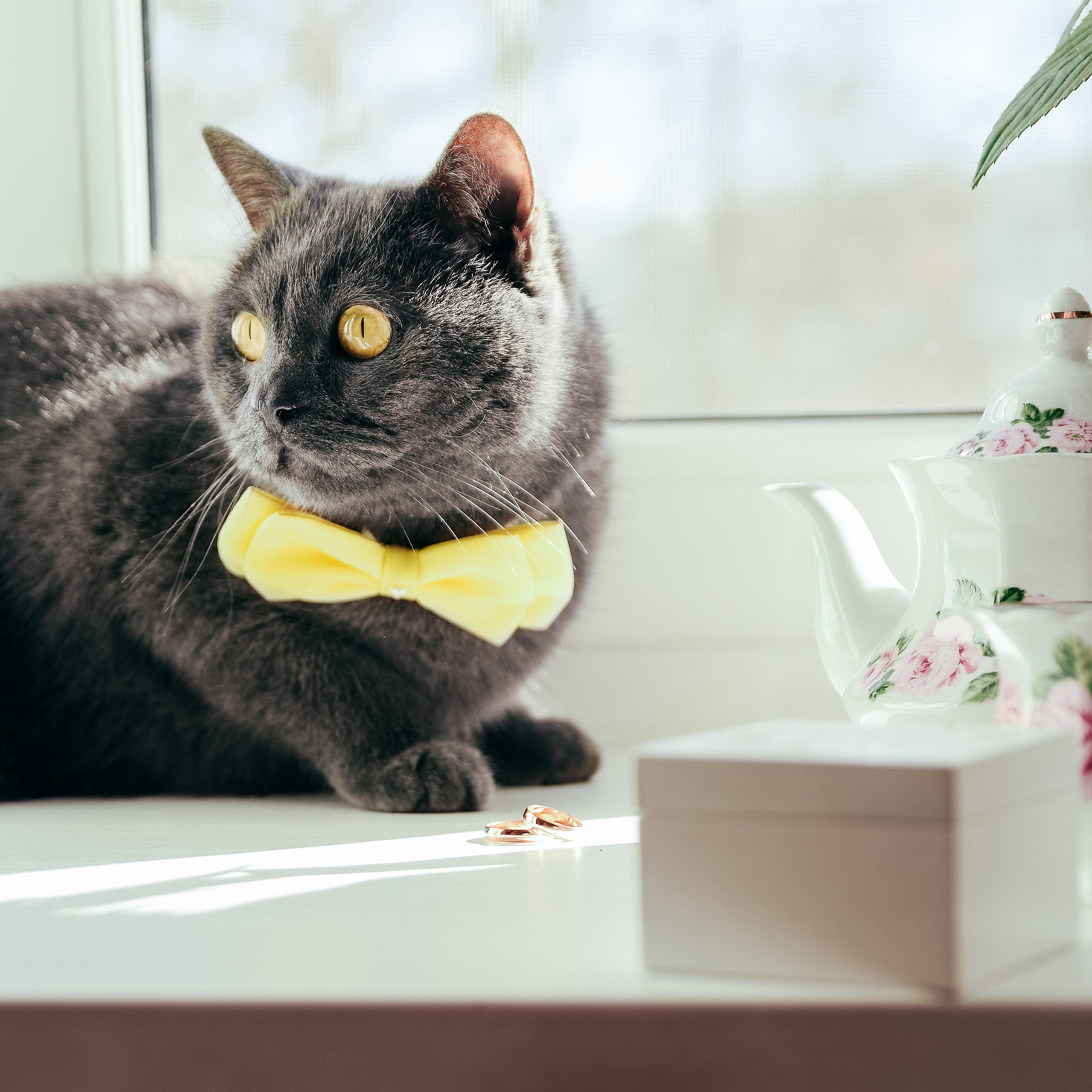 Антон и Татьяна