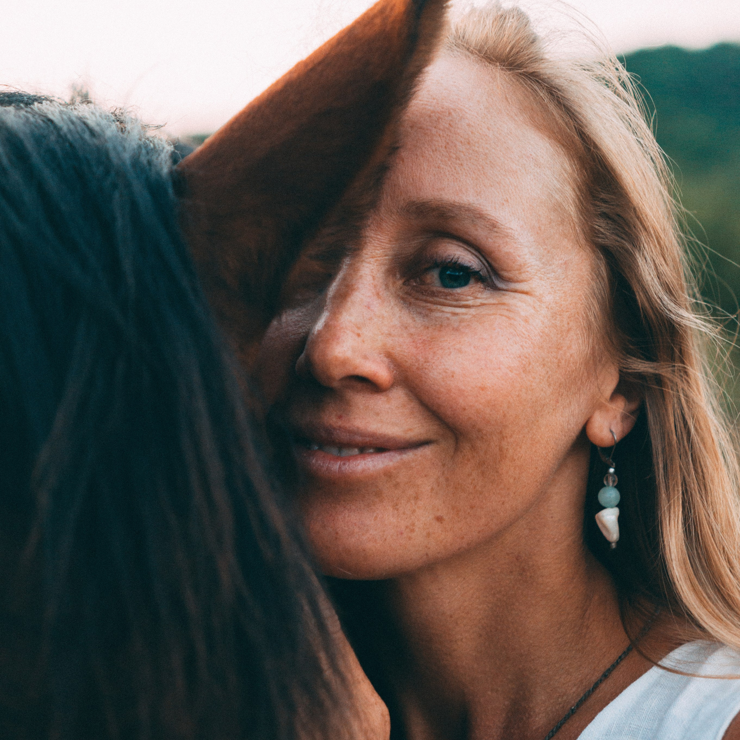 Проект свободных лошадей