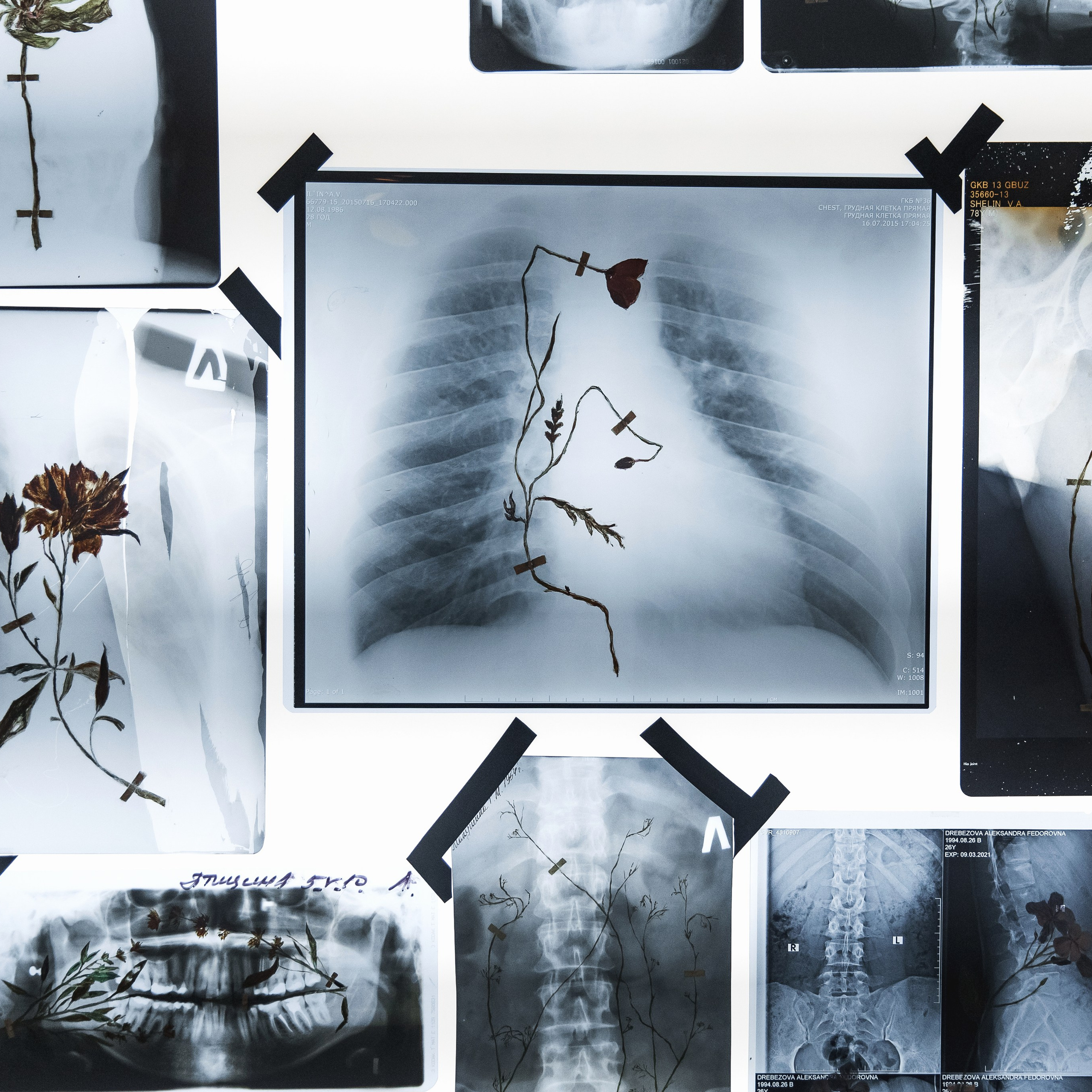 Корпоратив Школы дизайна НИУ ВШЭ