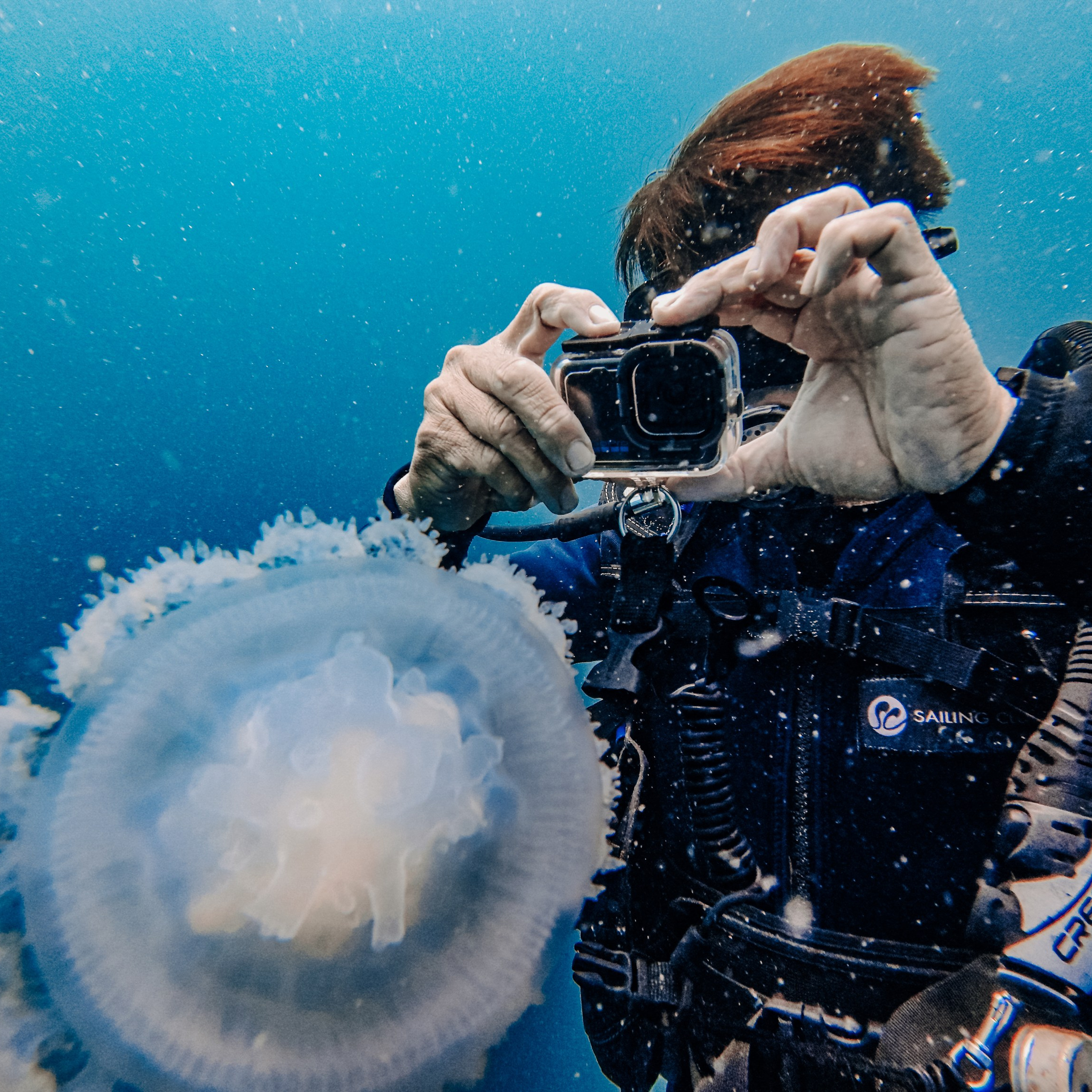 Отзывы. Дайвинг во Вьетнаме