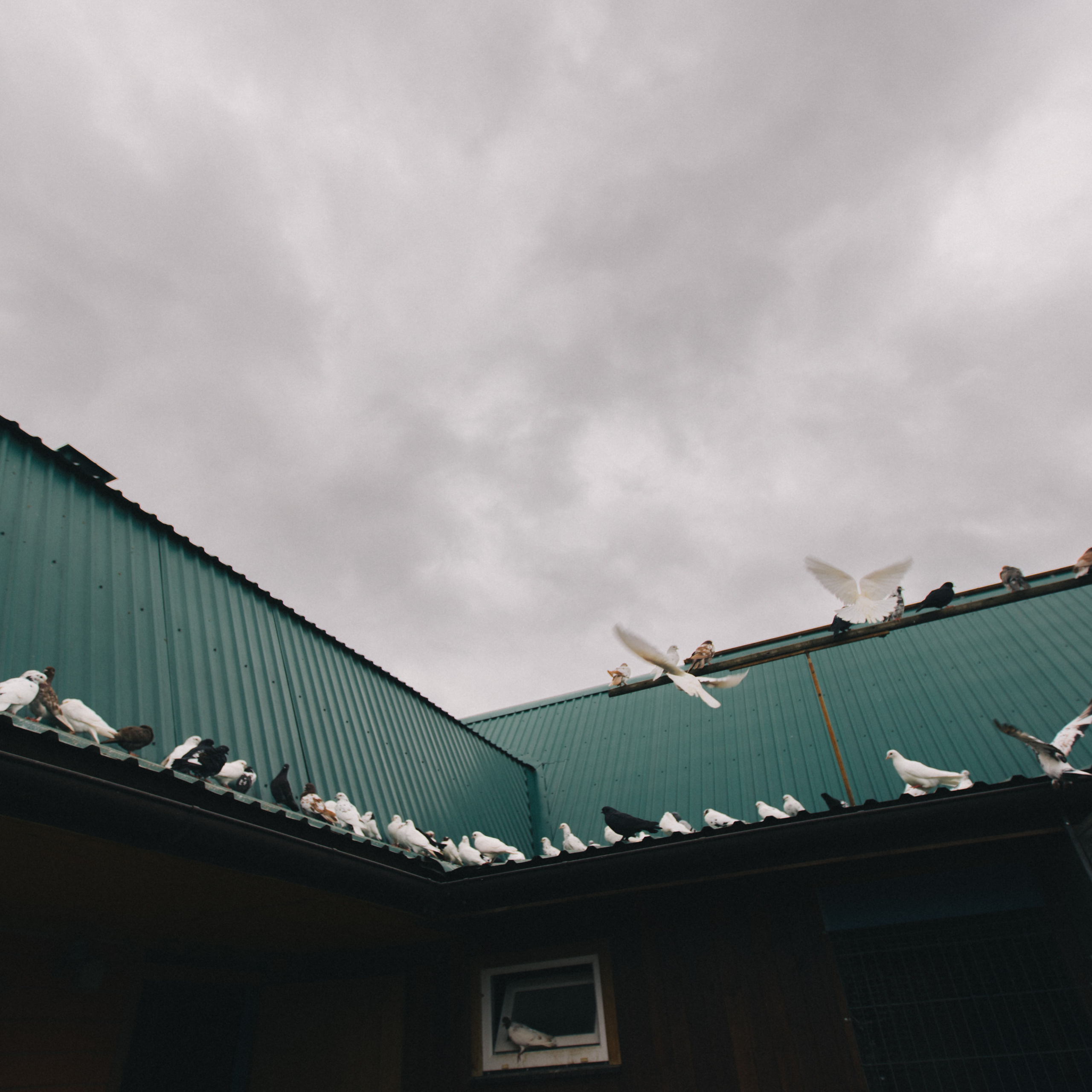 Отзывы. Фотограф Москва Людмила Белова