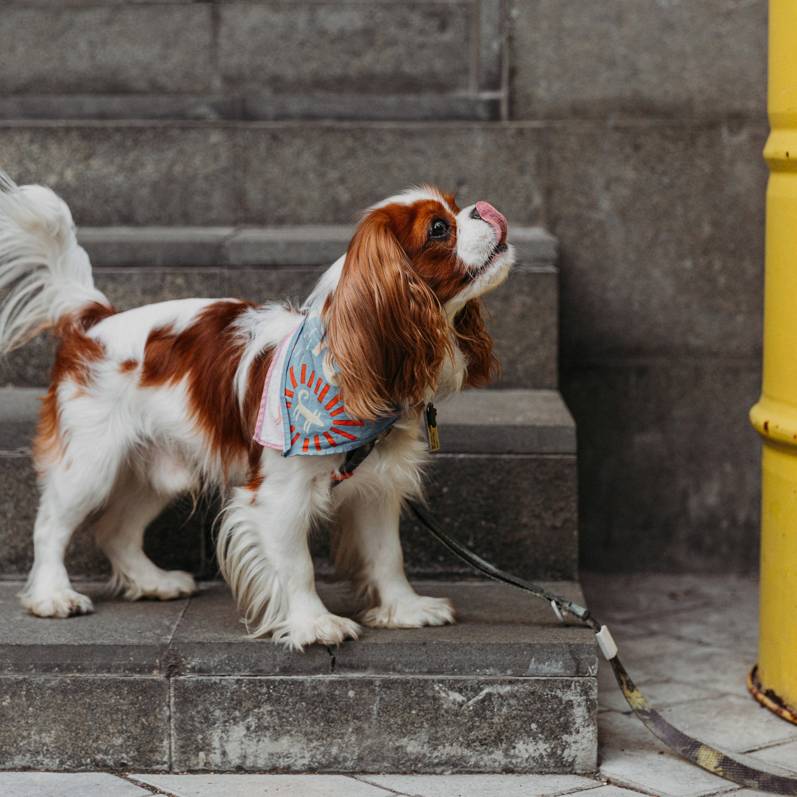 Настя, Антон и Марсель