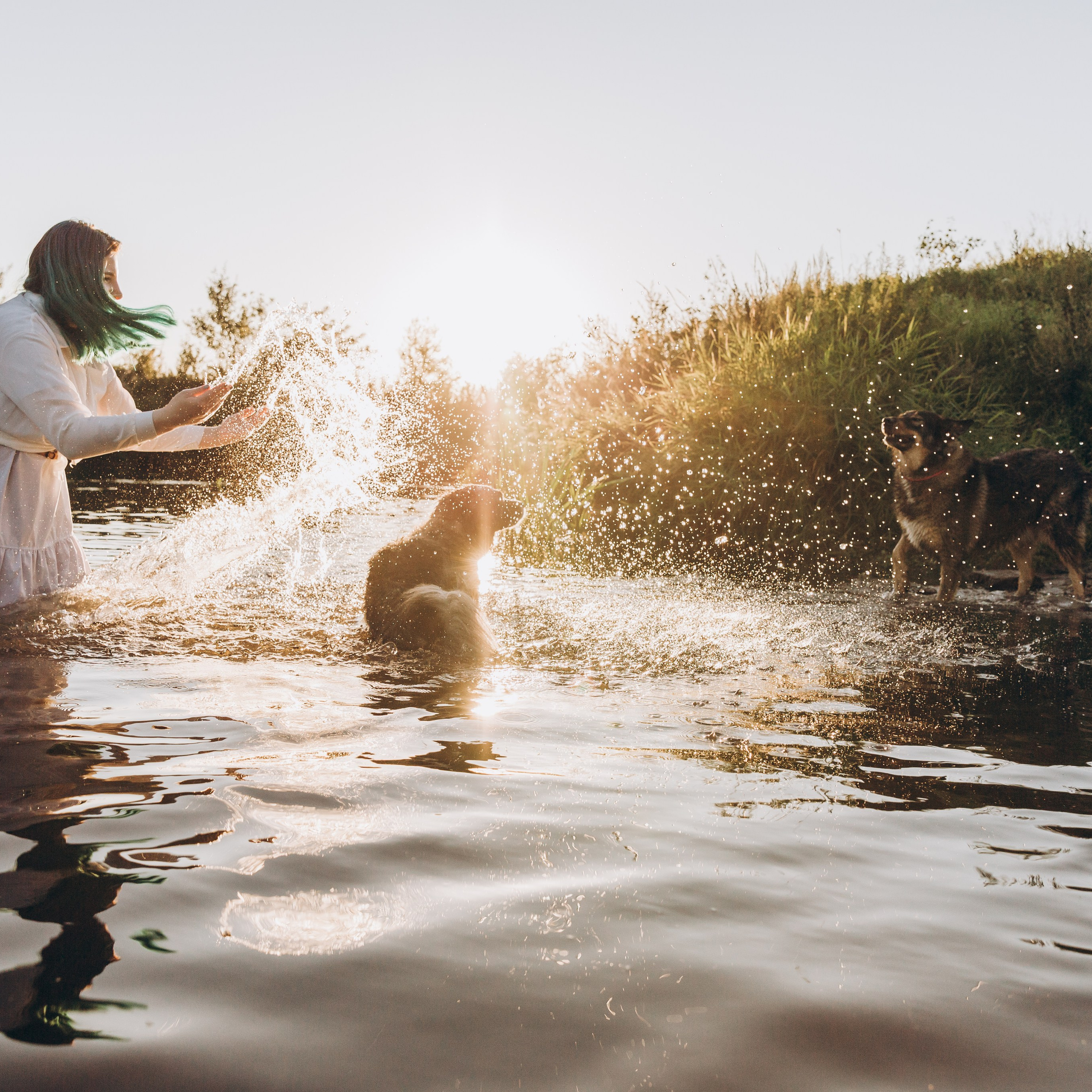 Катя, Маша и Киви