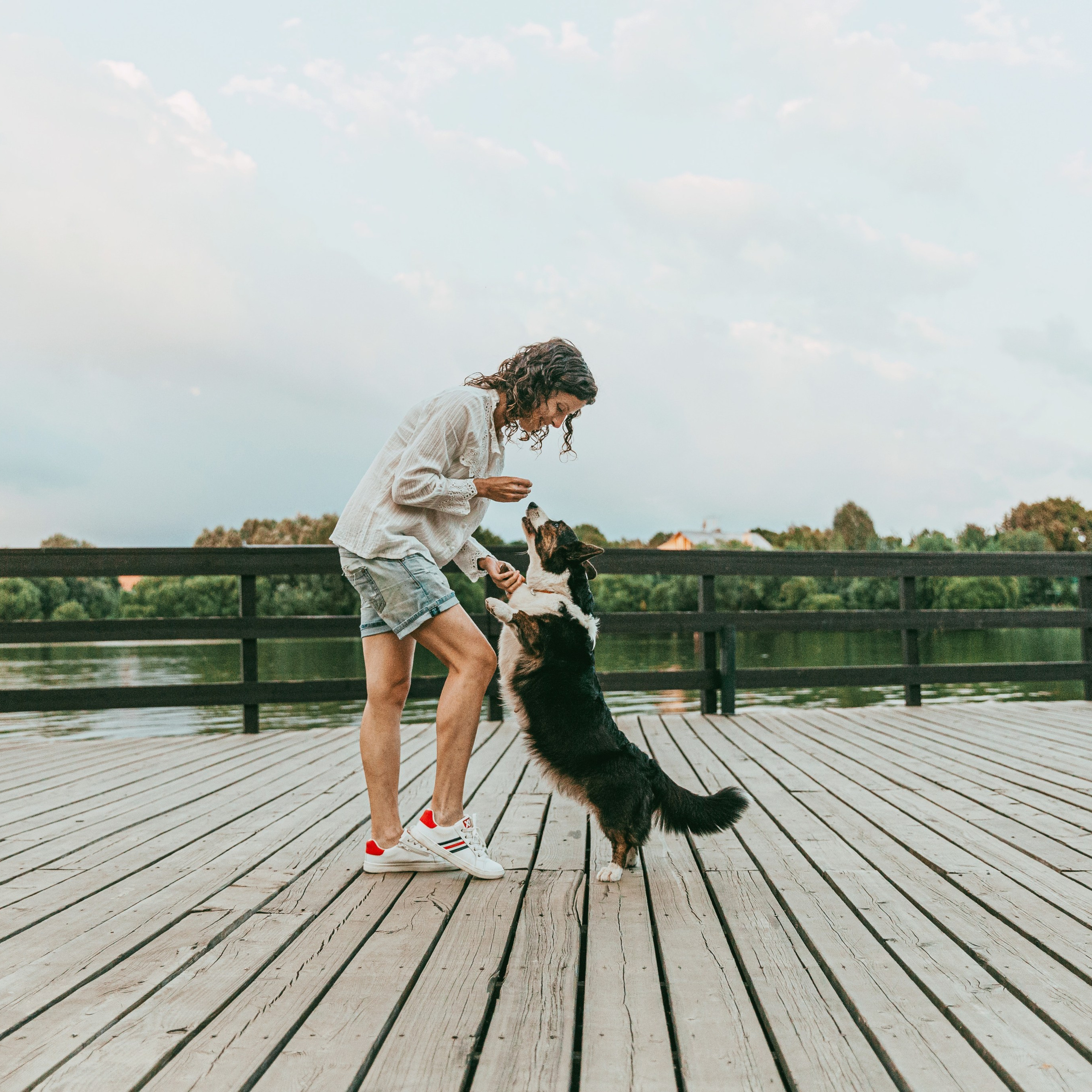 Отзывы. Фотограф-анималист в Москве Соломонова Варвара