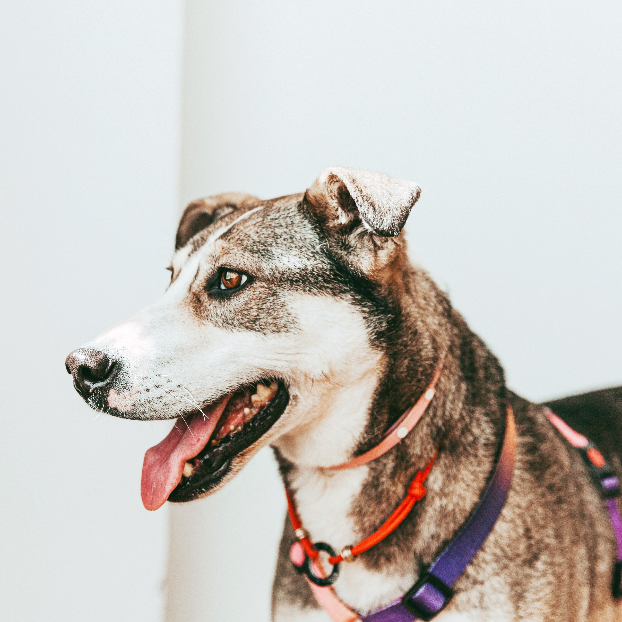 Ева в студии