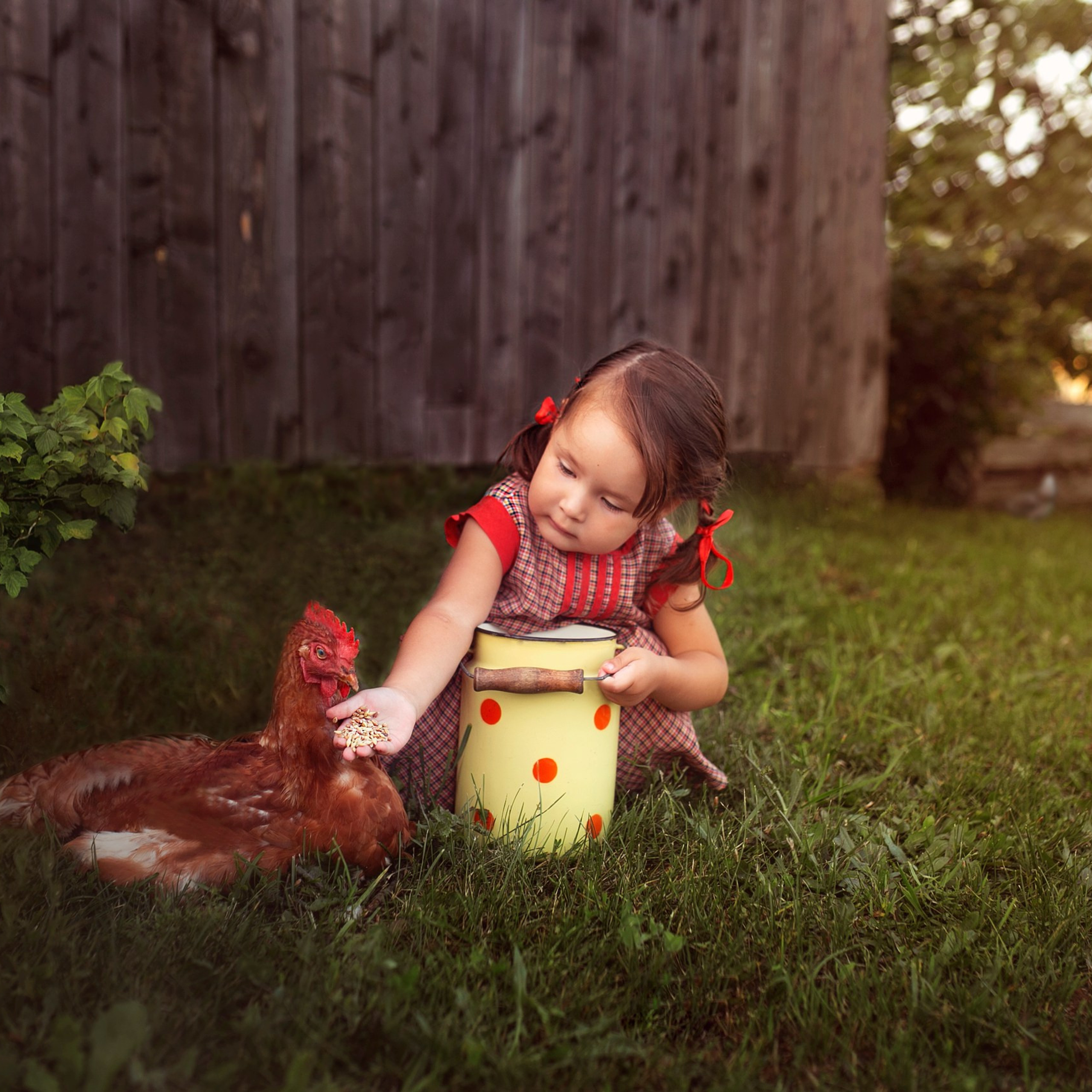 Летом в деревне…