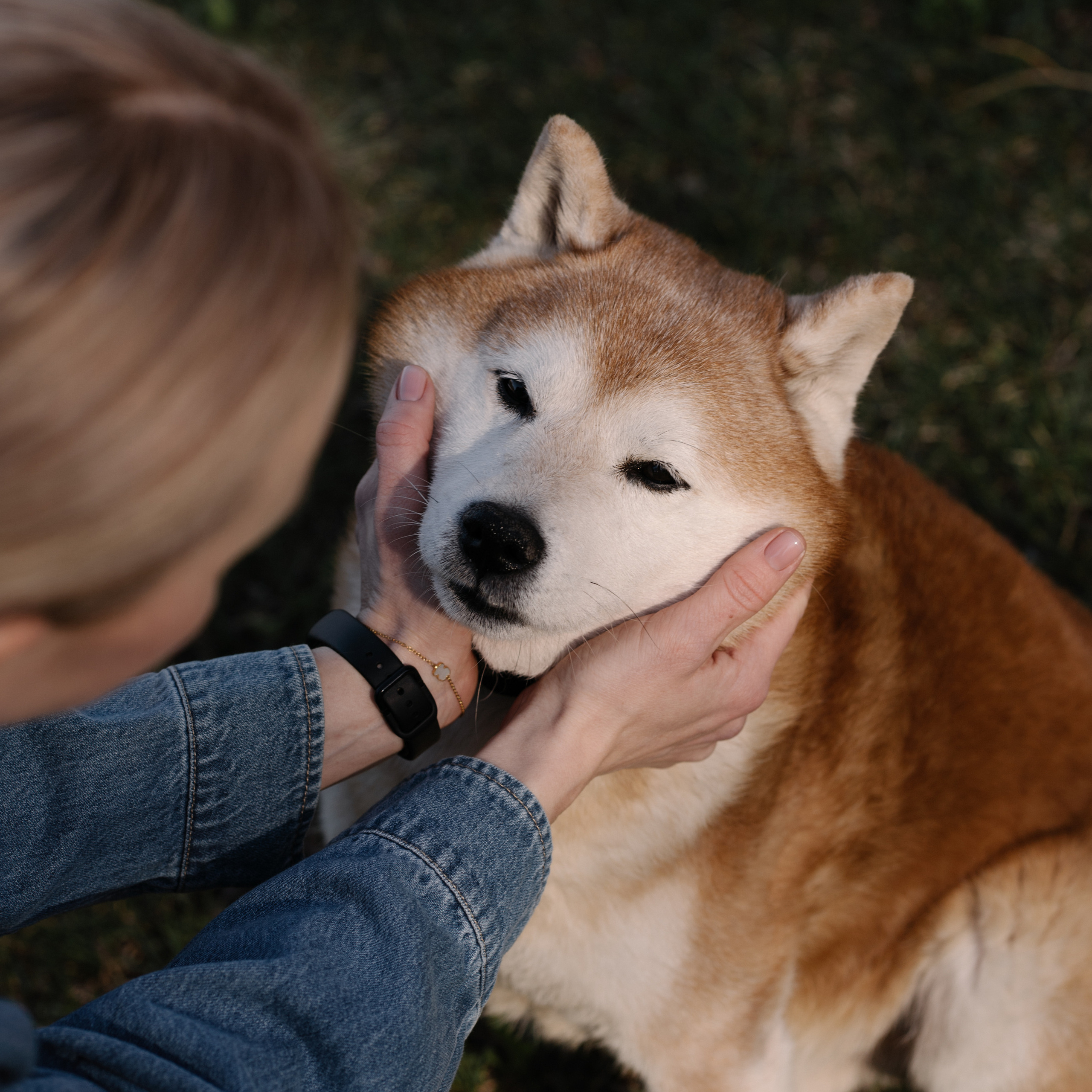 Отзывы. Lifestyle