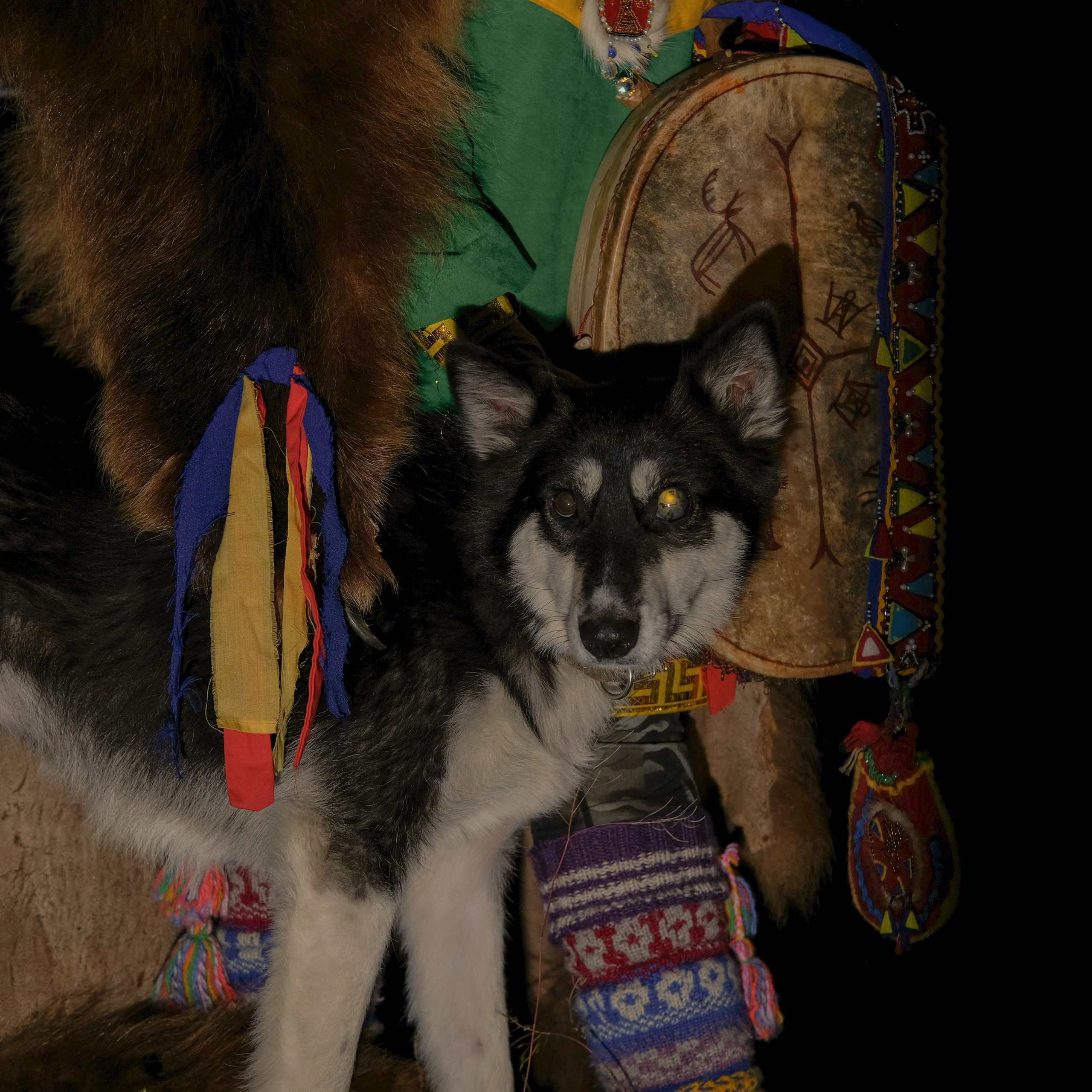 Kola Peninsula (unfinished gallery). Kirillov Egor