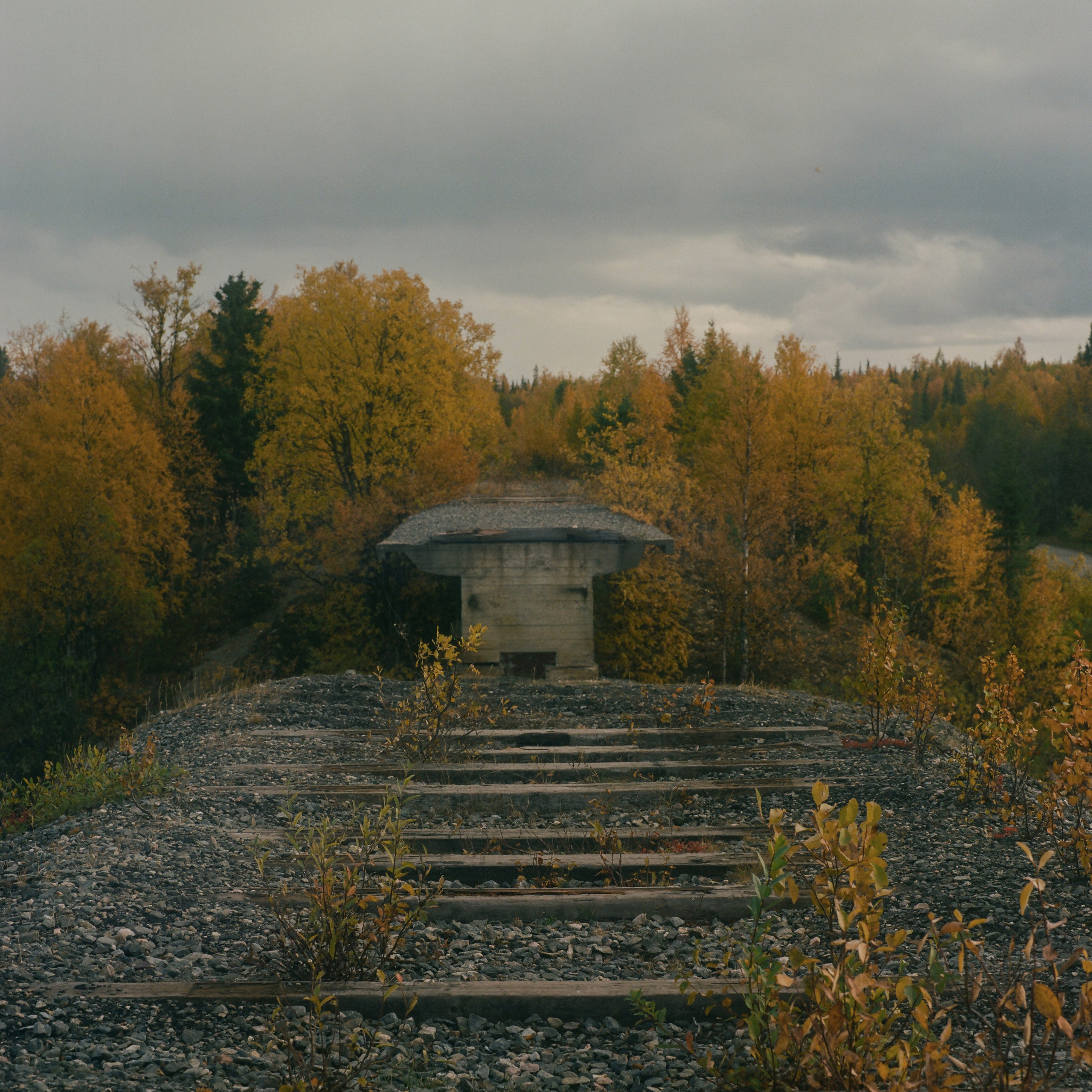 Kola Peninsula (unfinished gallery). Kirillov Egor