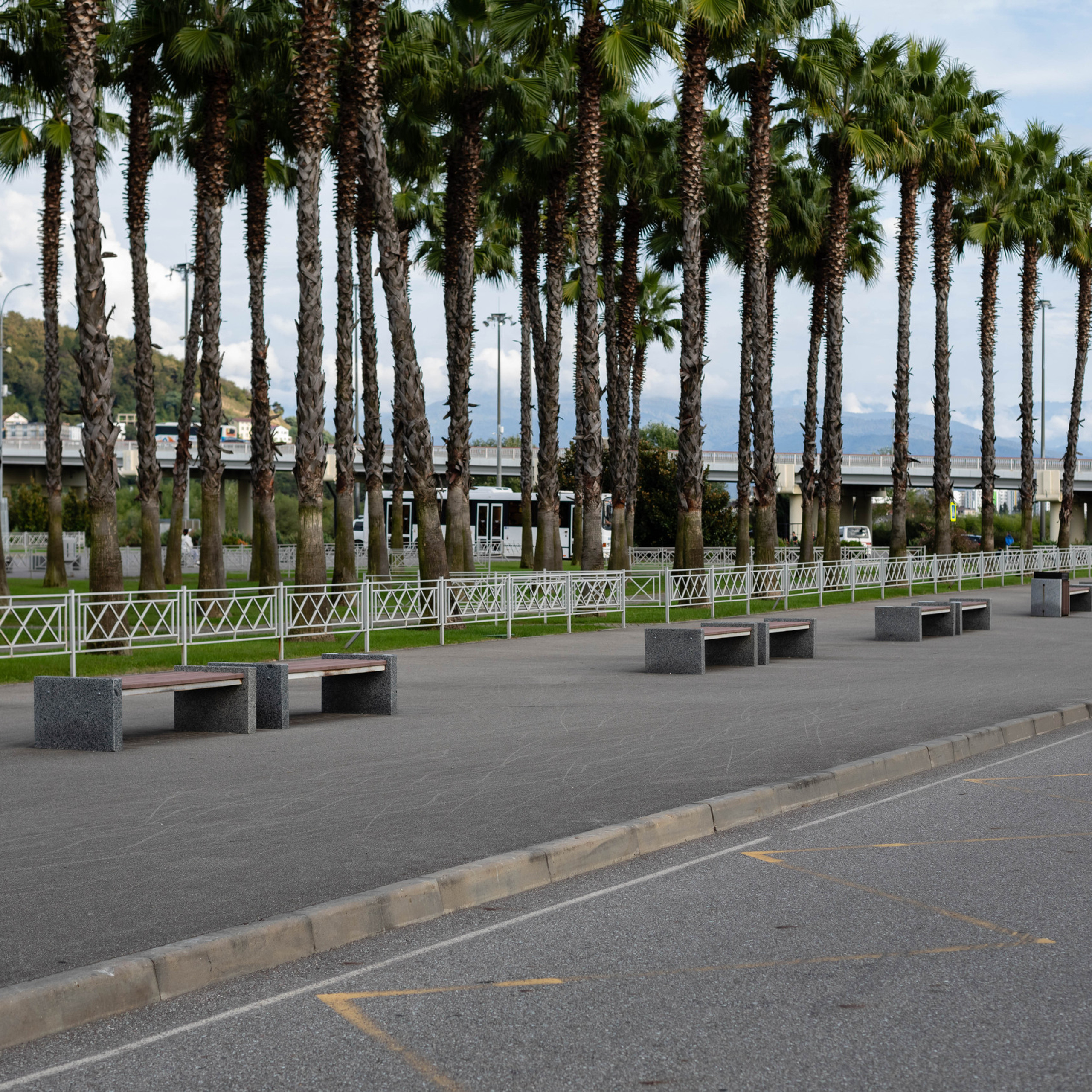 Отзывы. Фотограф в Сочи Татьяна Ларионова