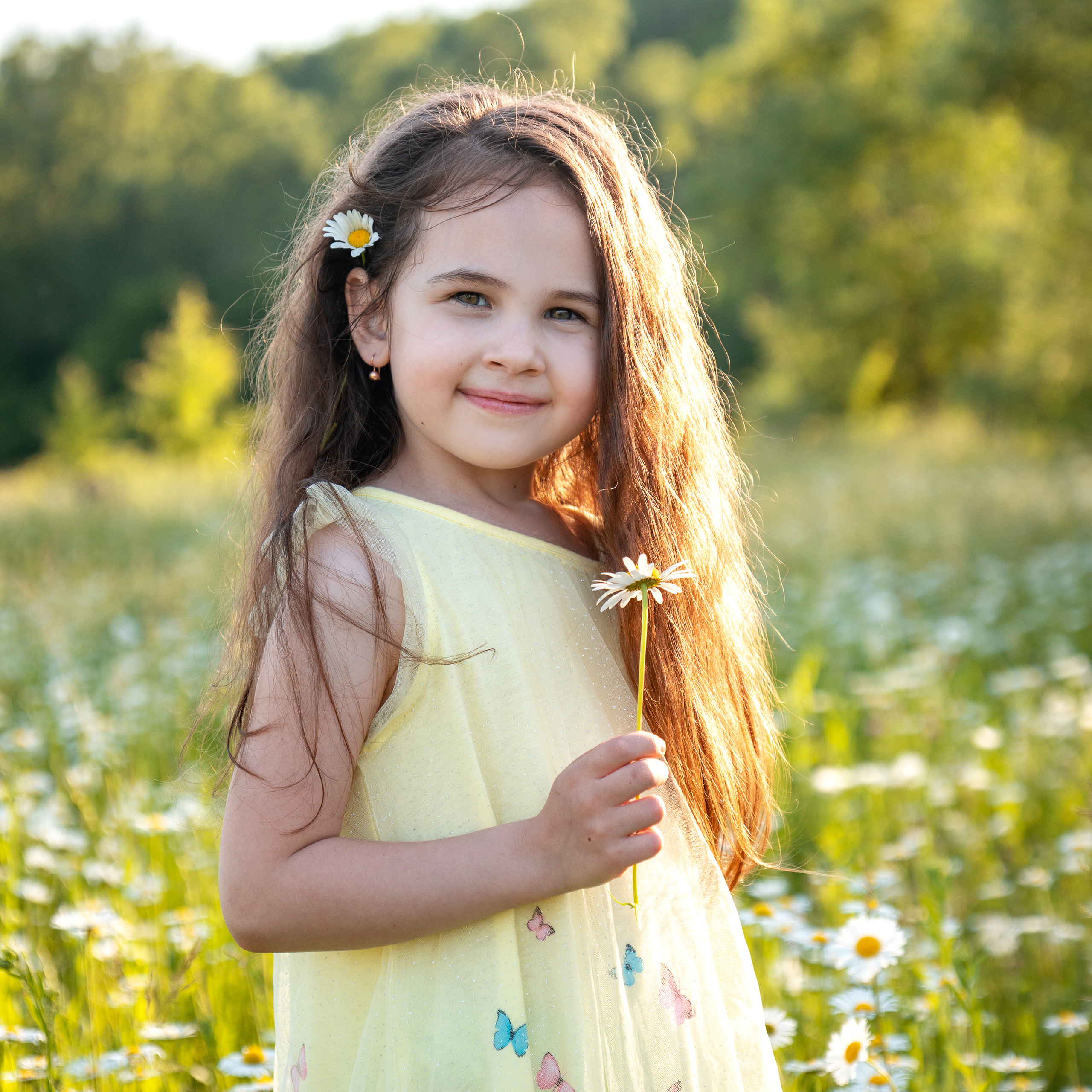 В ромашковом поле