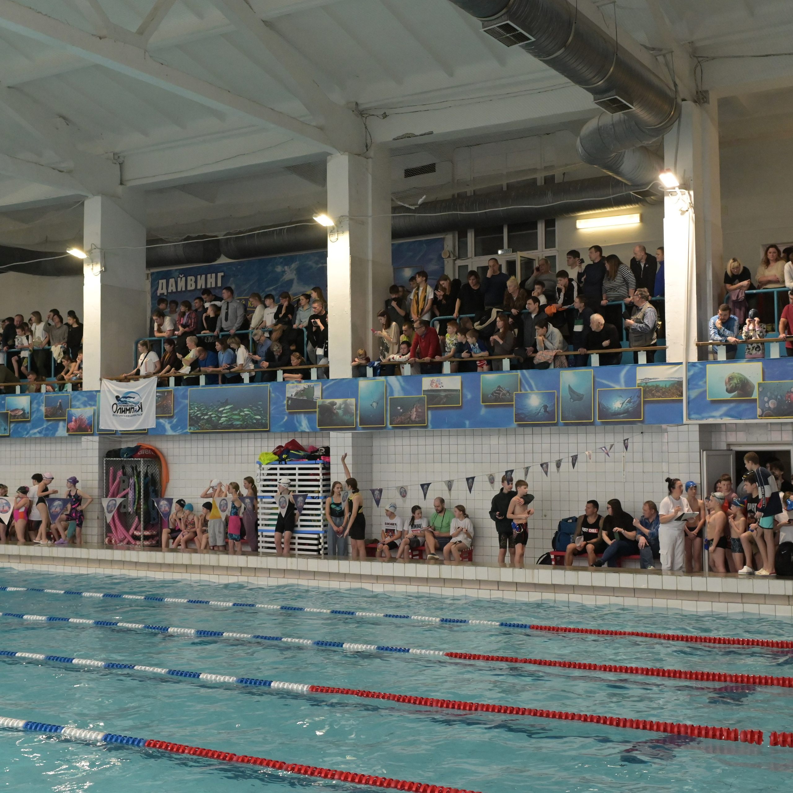 Отзывы. Фотограф Светлана Скороходова Владимир-Москва
