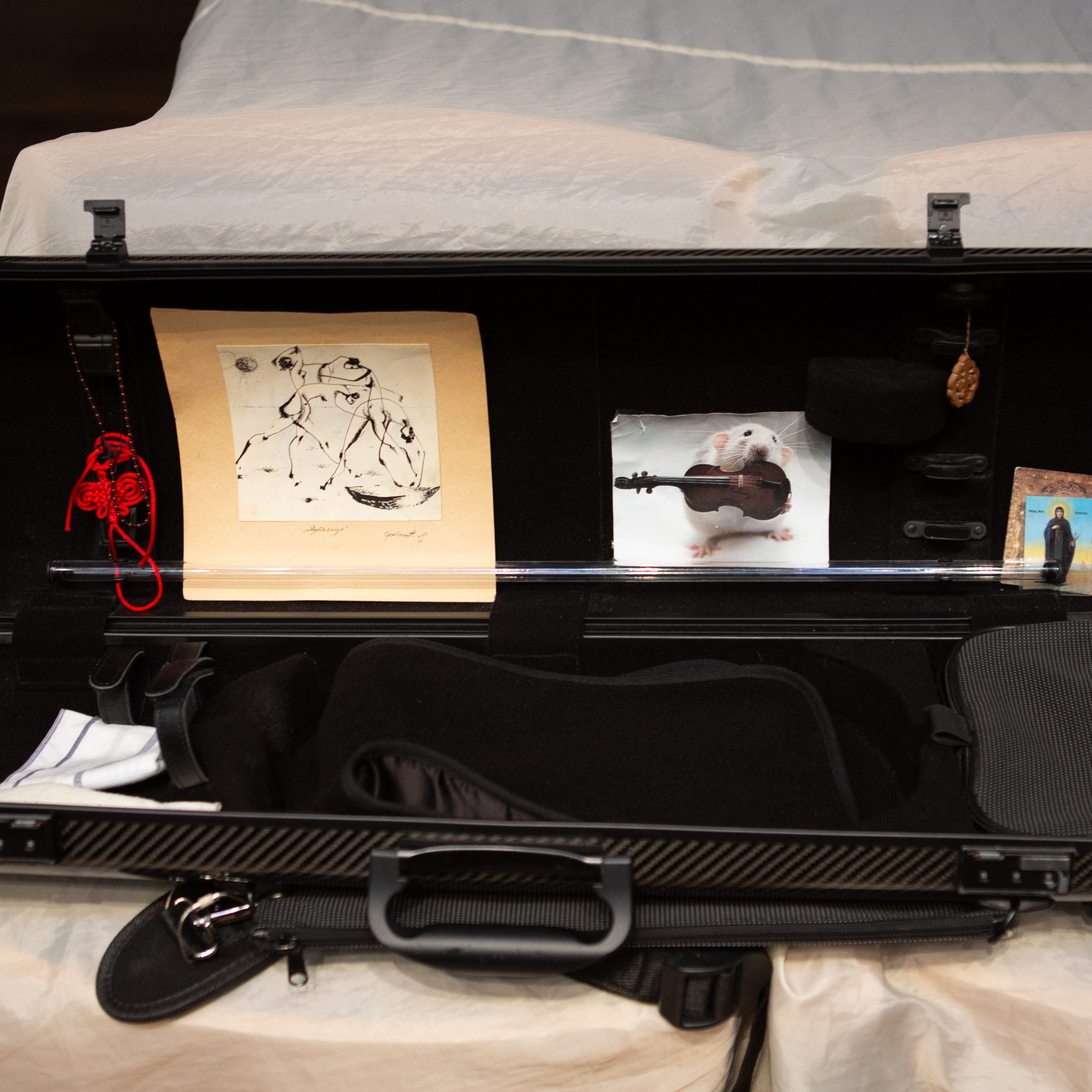 Жизнь в футляре